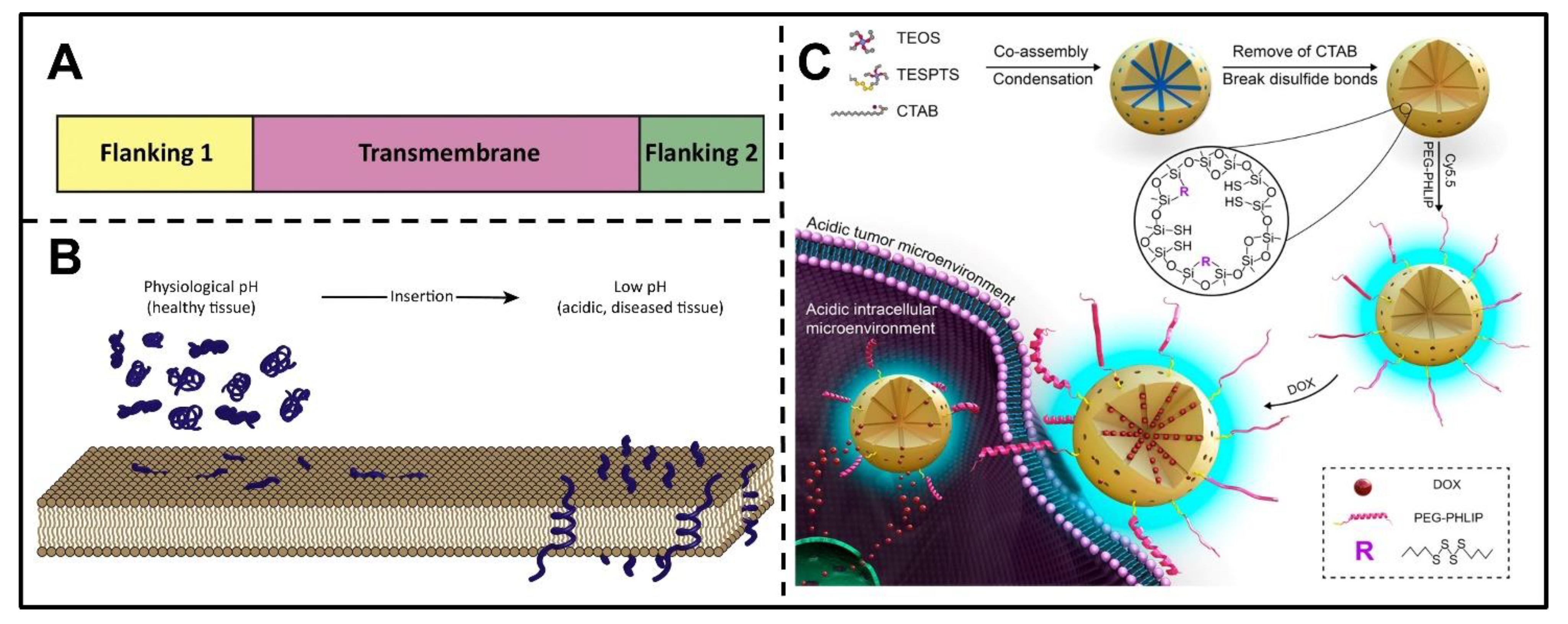 Pharmaceutics 14 02346 g002 Pharmaceutics 14 02346 g002
