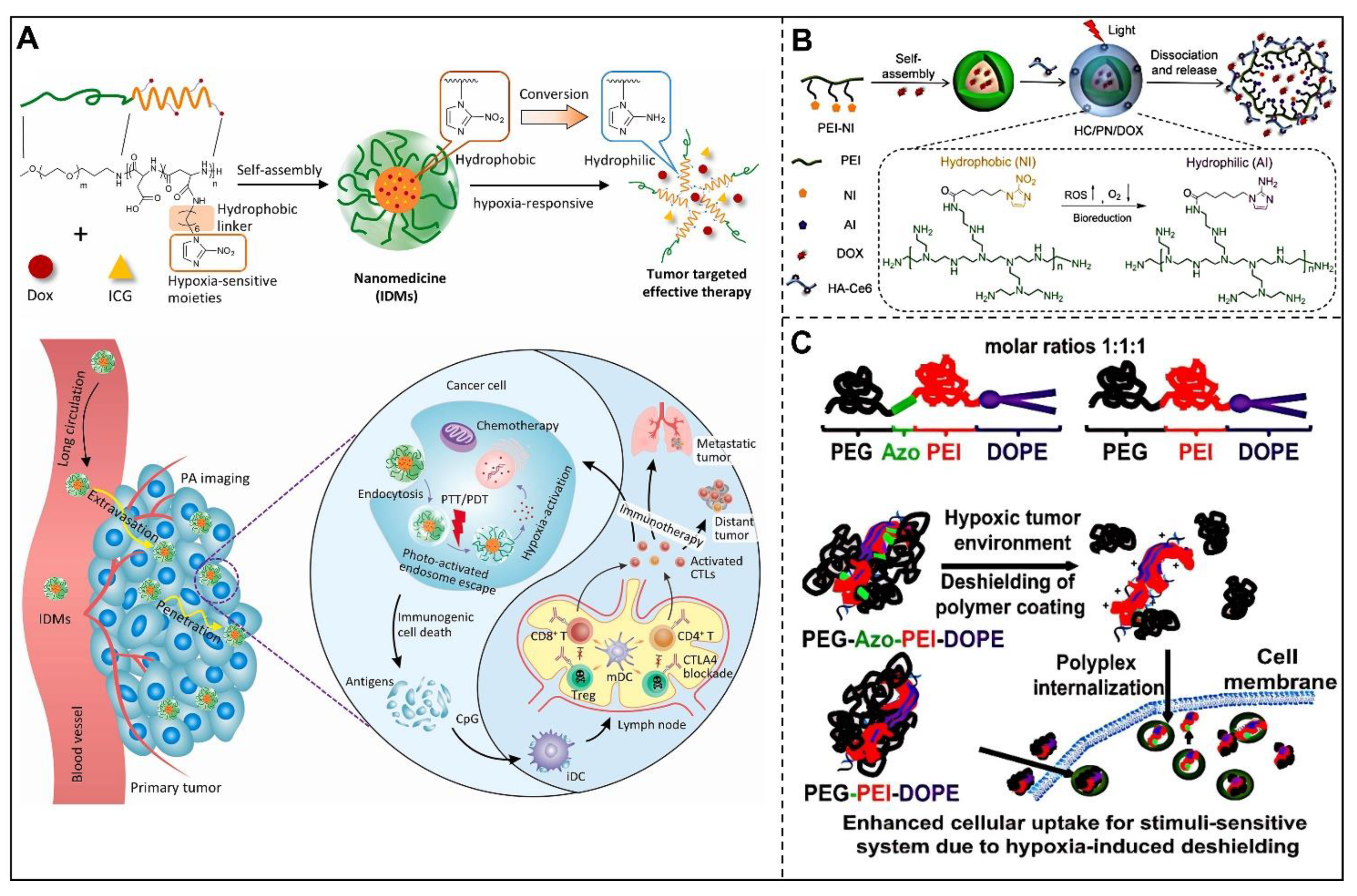 Pharmaceutics 14 02346 g004 Pharmaceutics 14 02346 g004