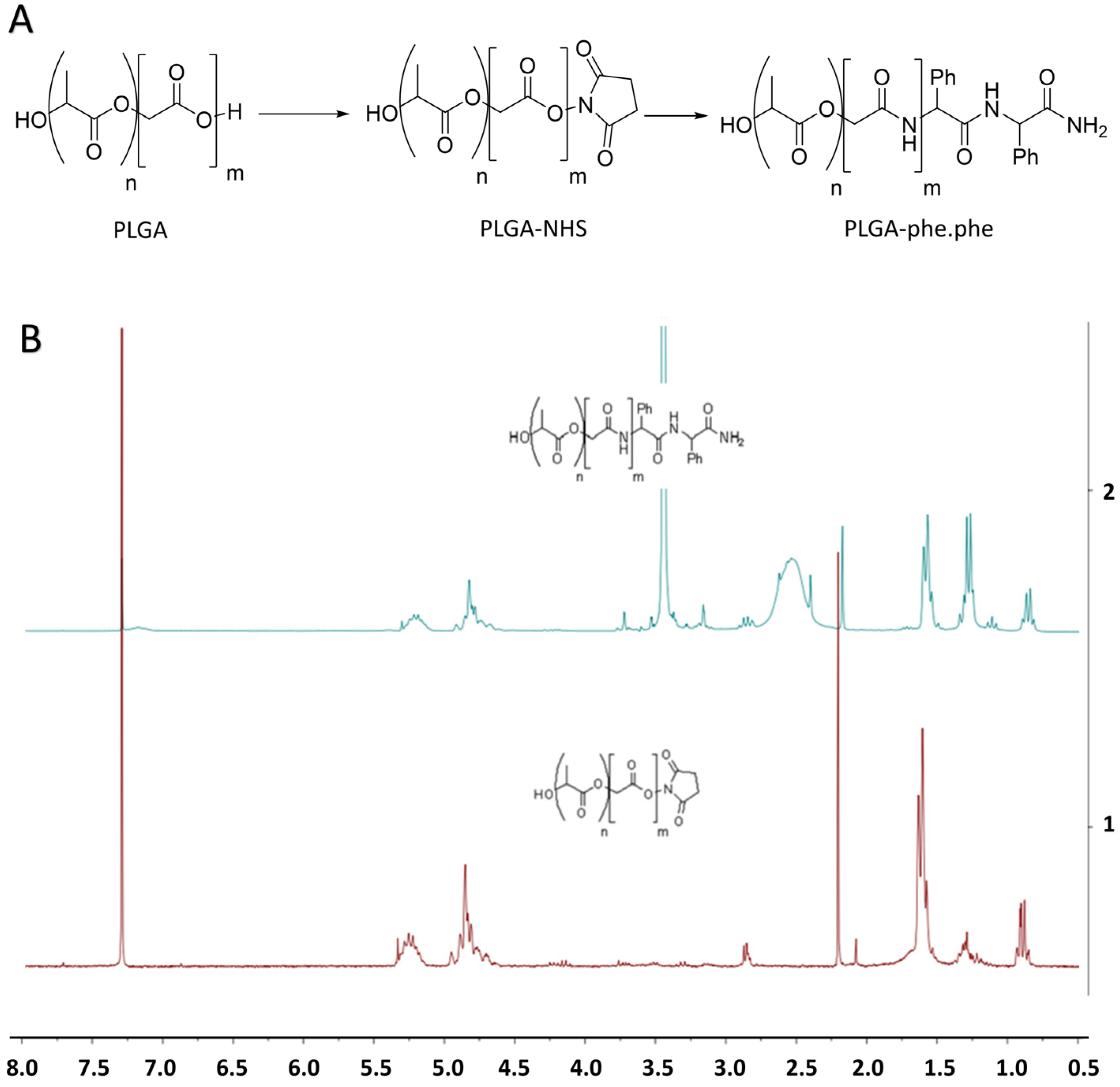 Pharmaceutics 14 02348 g001