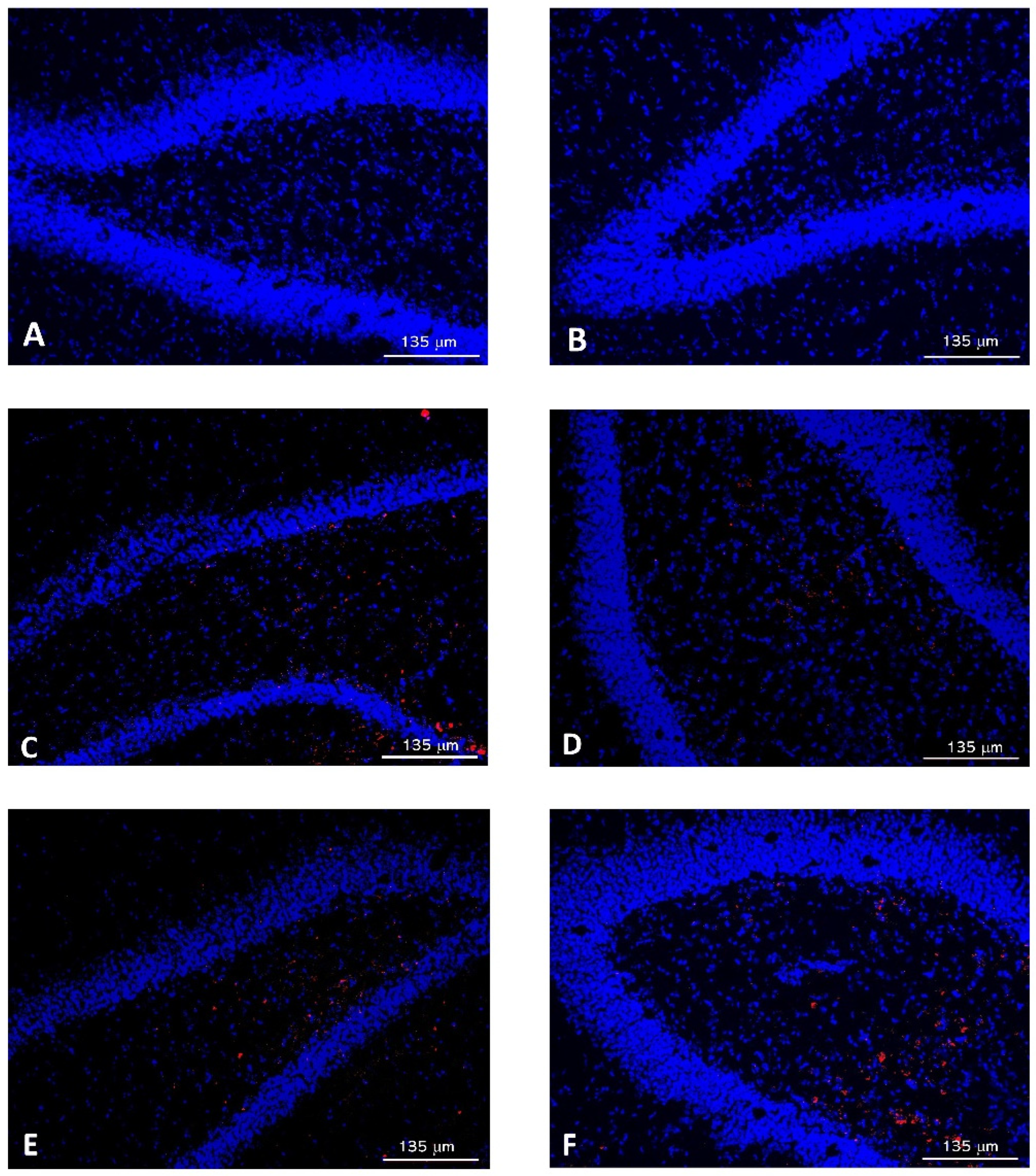 Pharmaceutics 14 02348 g005