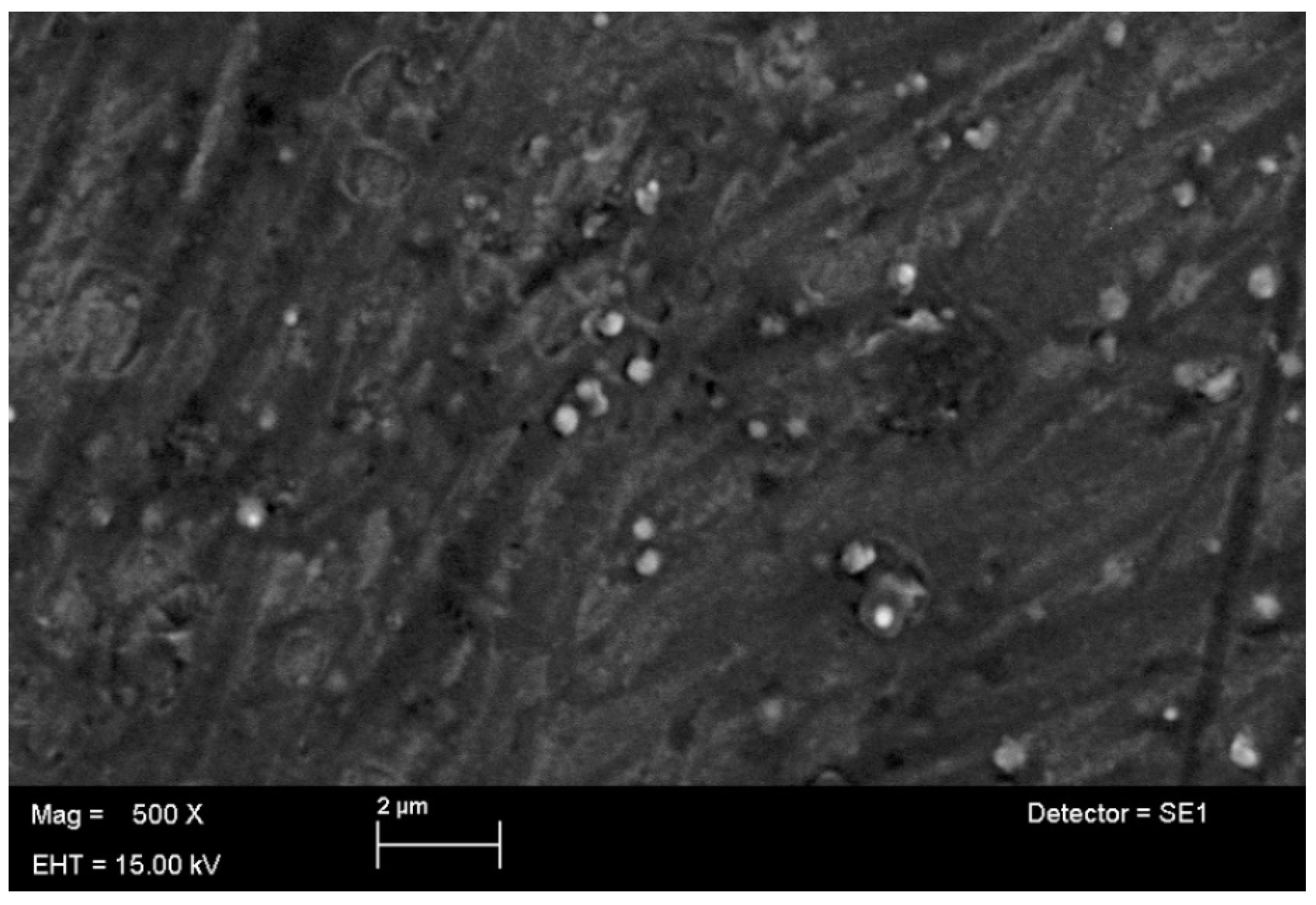 Pharmaceutics 14 02353 g003