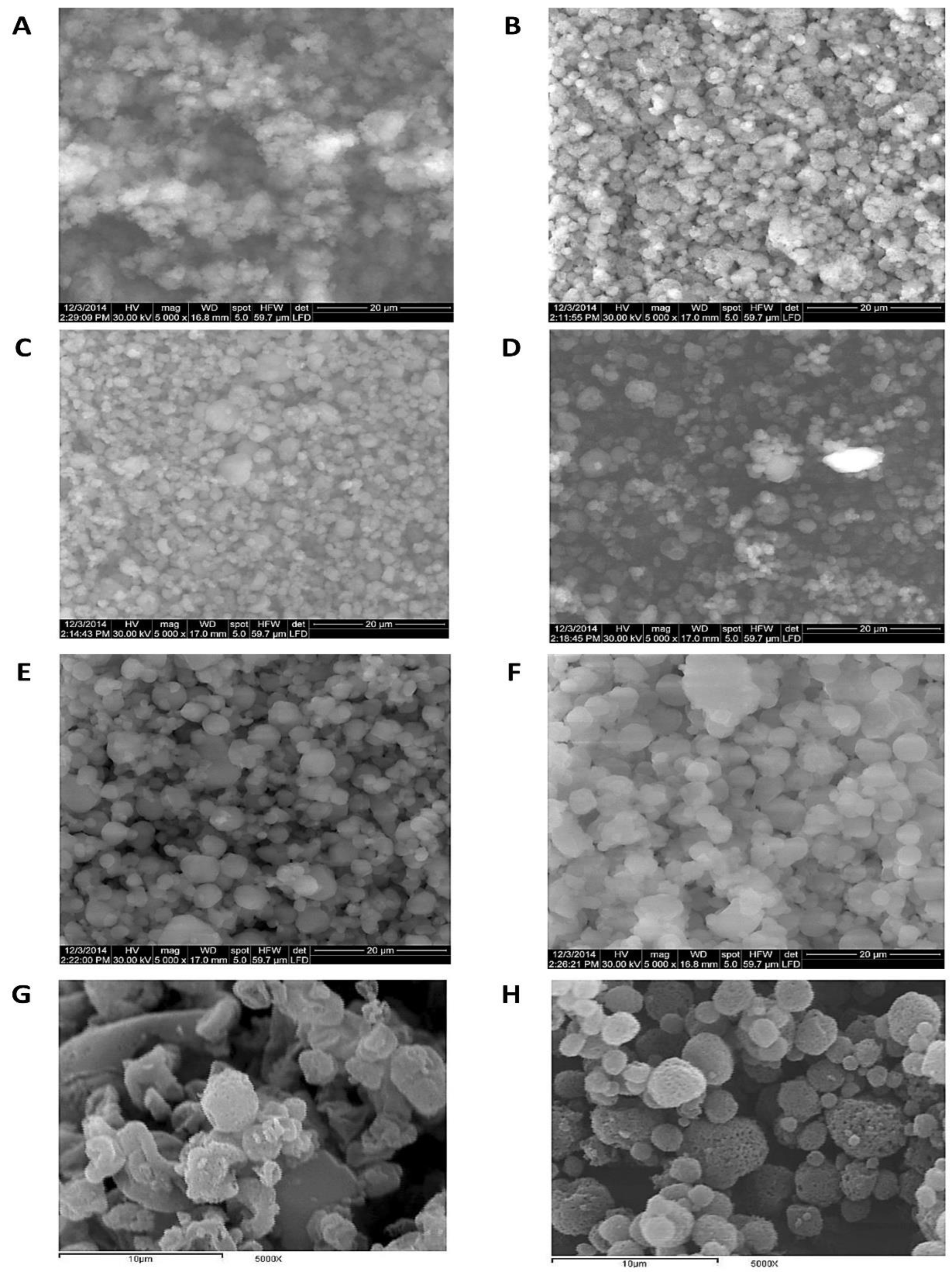 Pharmaceutics 14 02354 g001