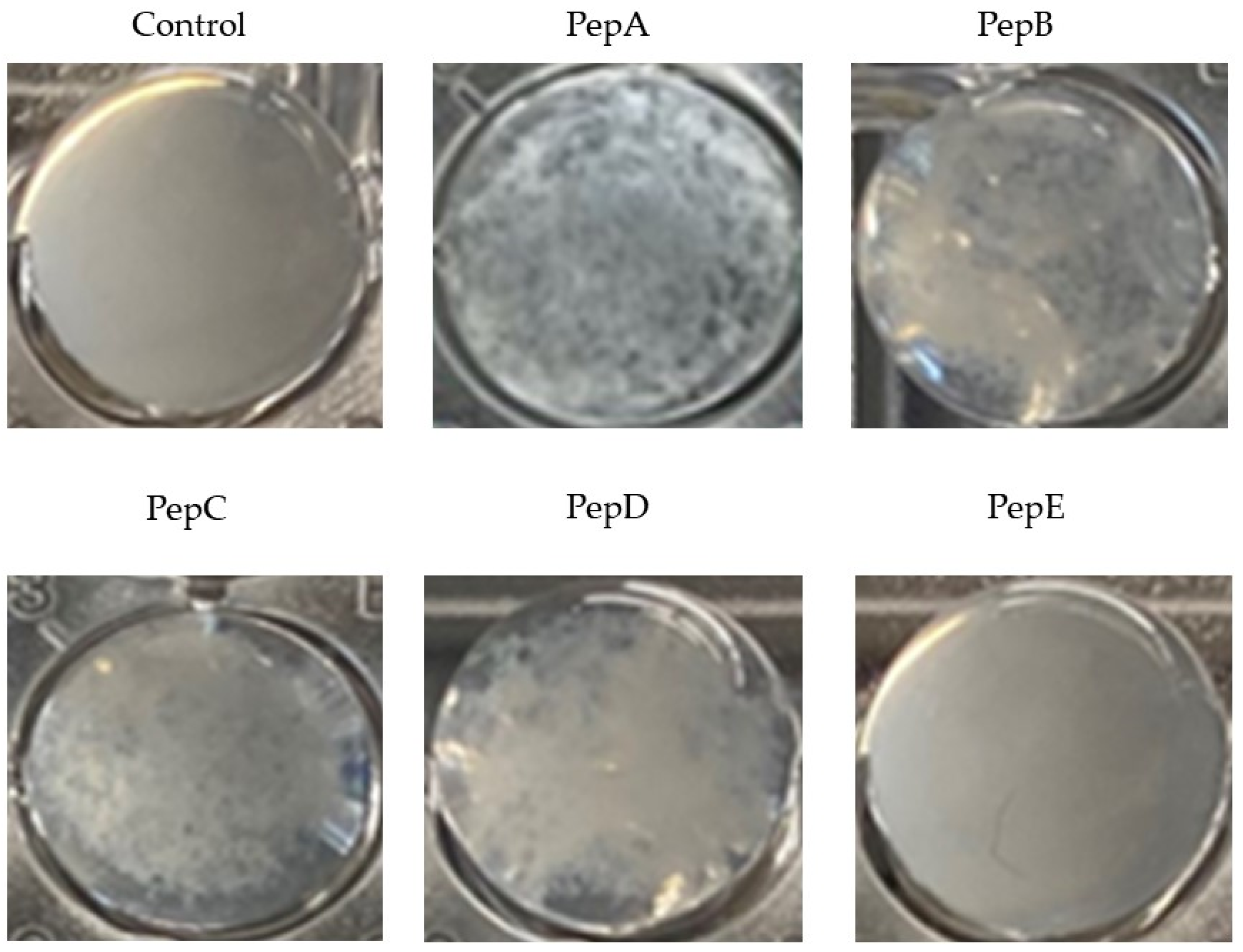 Pharmaceutics 14 02356 g002
