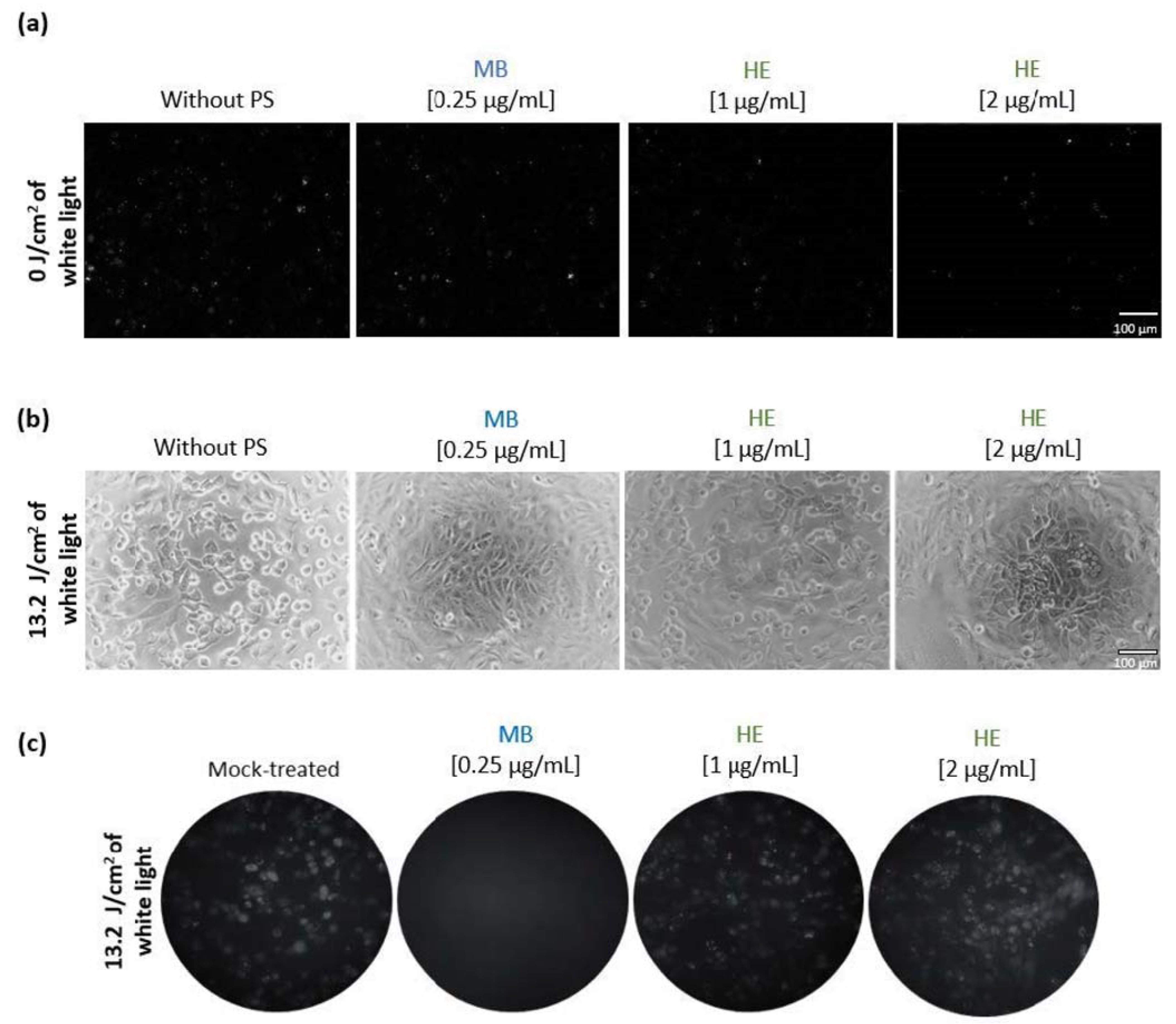 Pharmaceutics 14 02364 g002