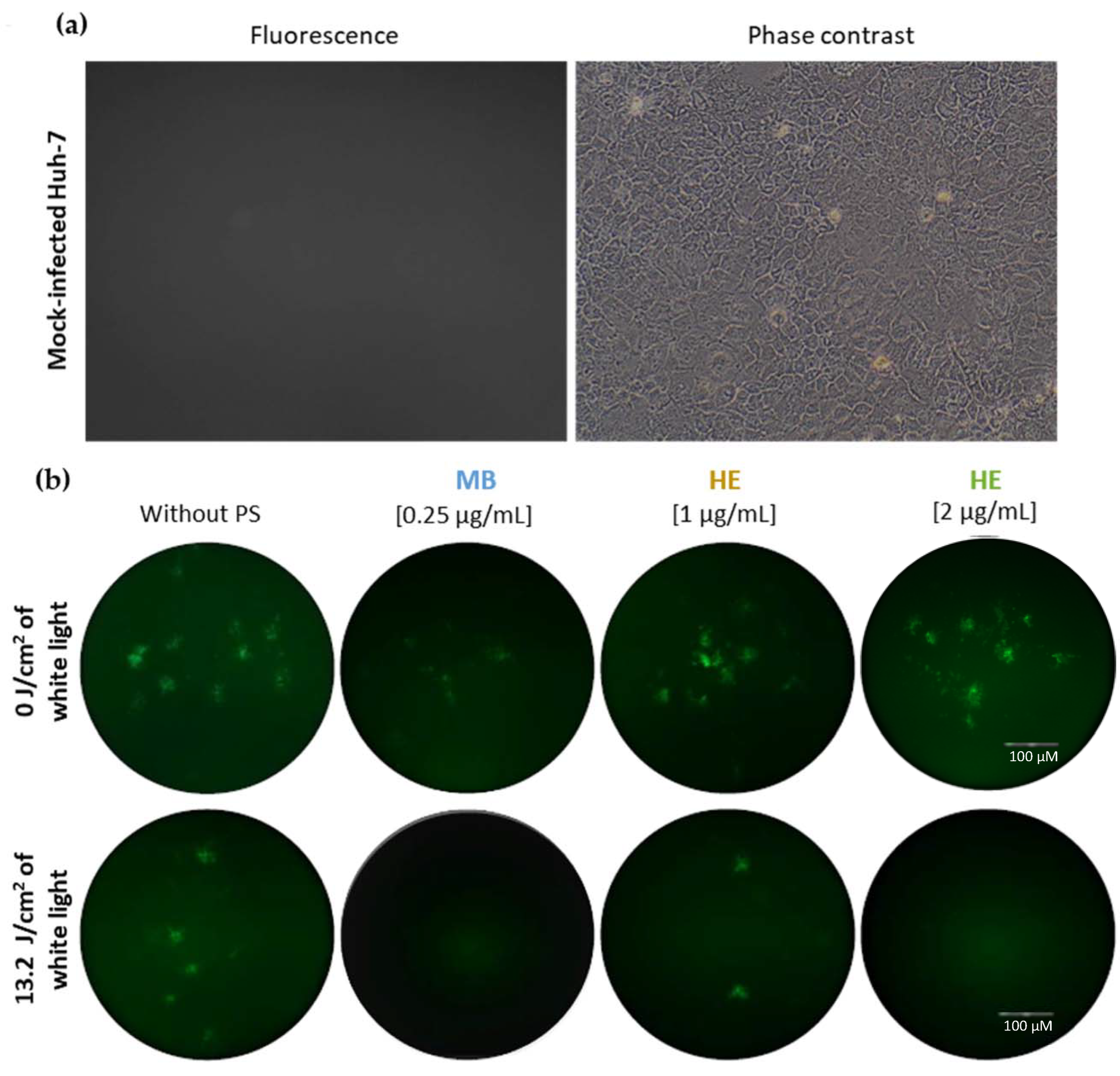 Pharmaceutics 14 02364 g003