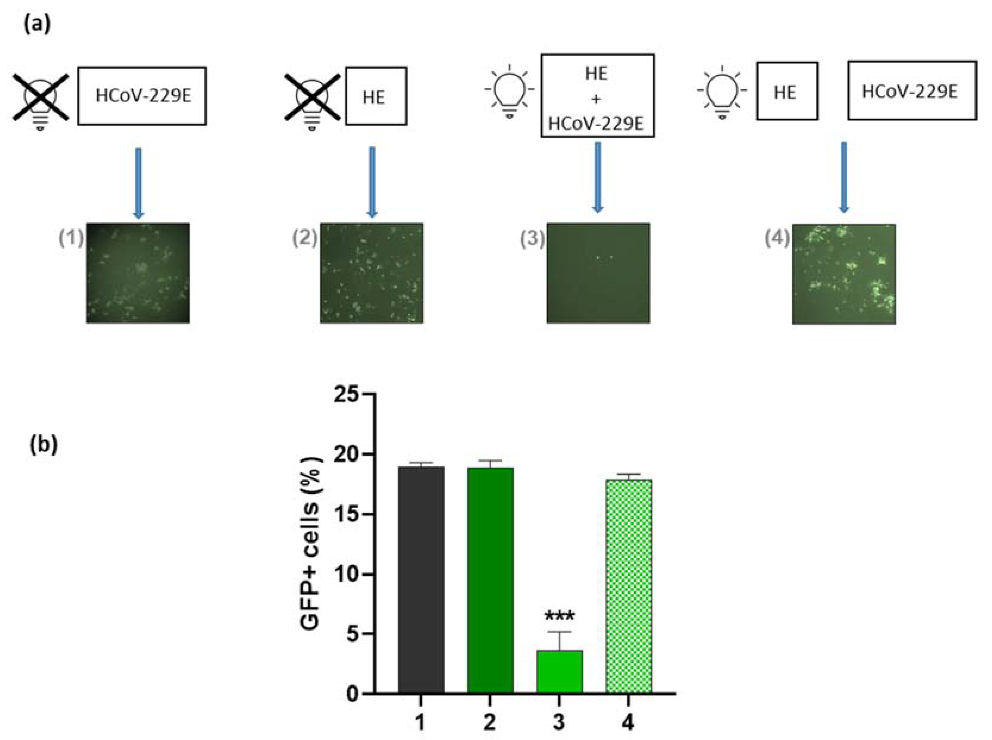 Pharmaceutics 14 02364 g005