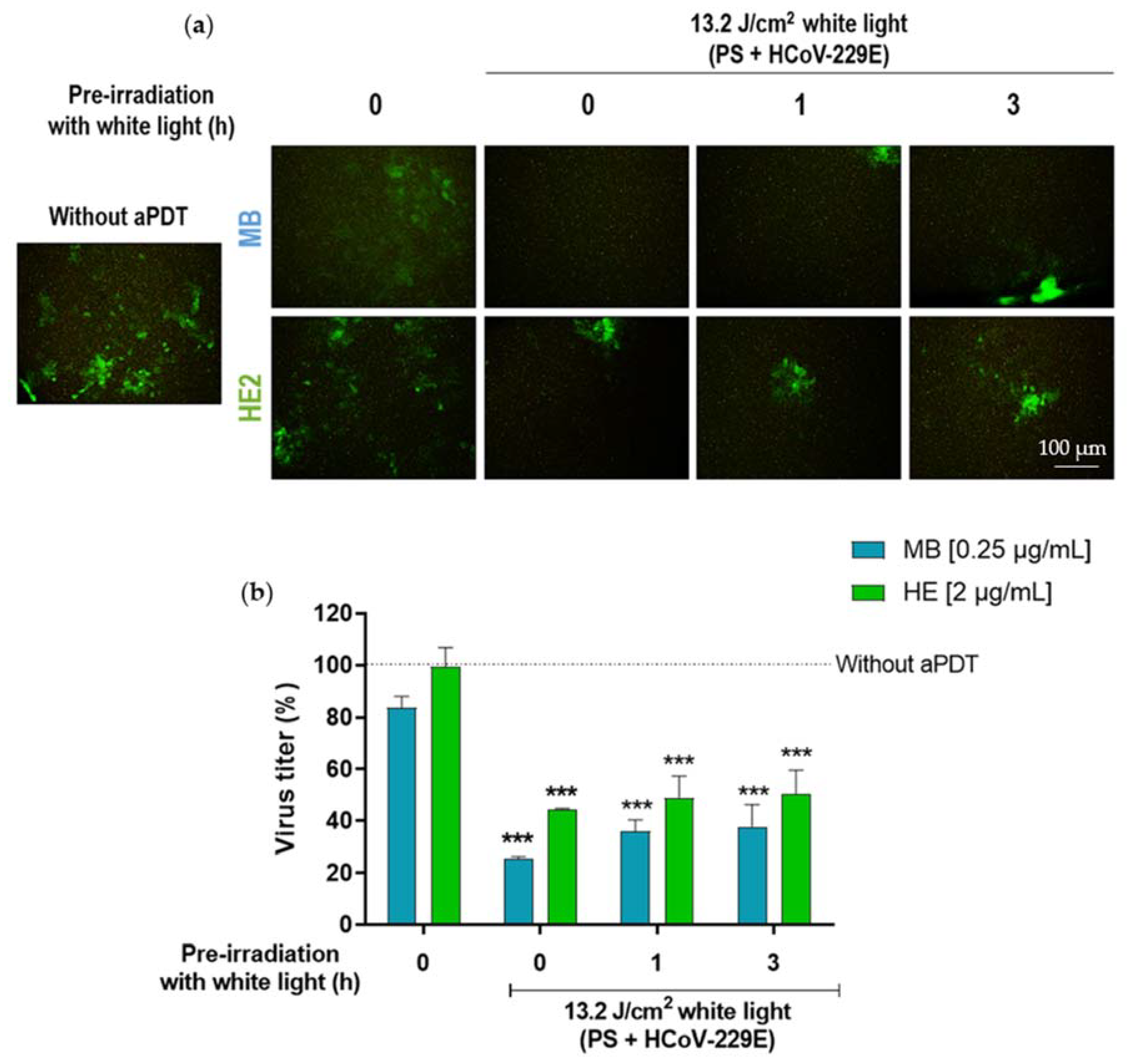 Pharmaceutics 14 02364 g006