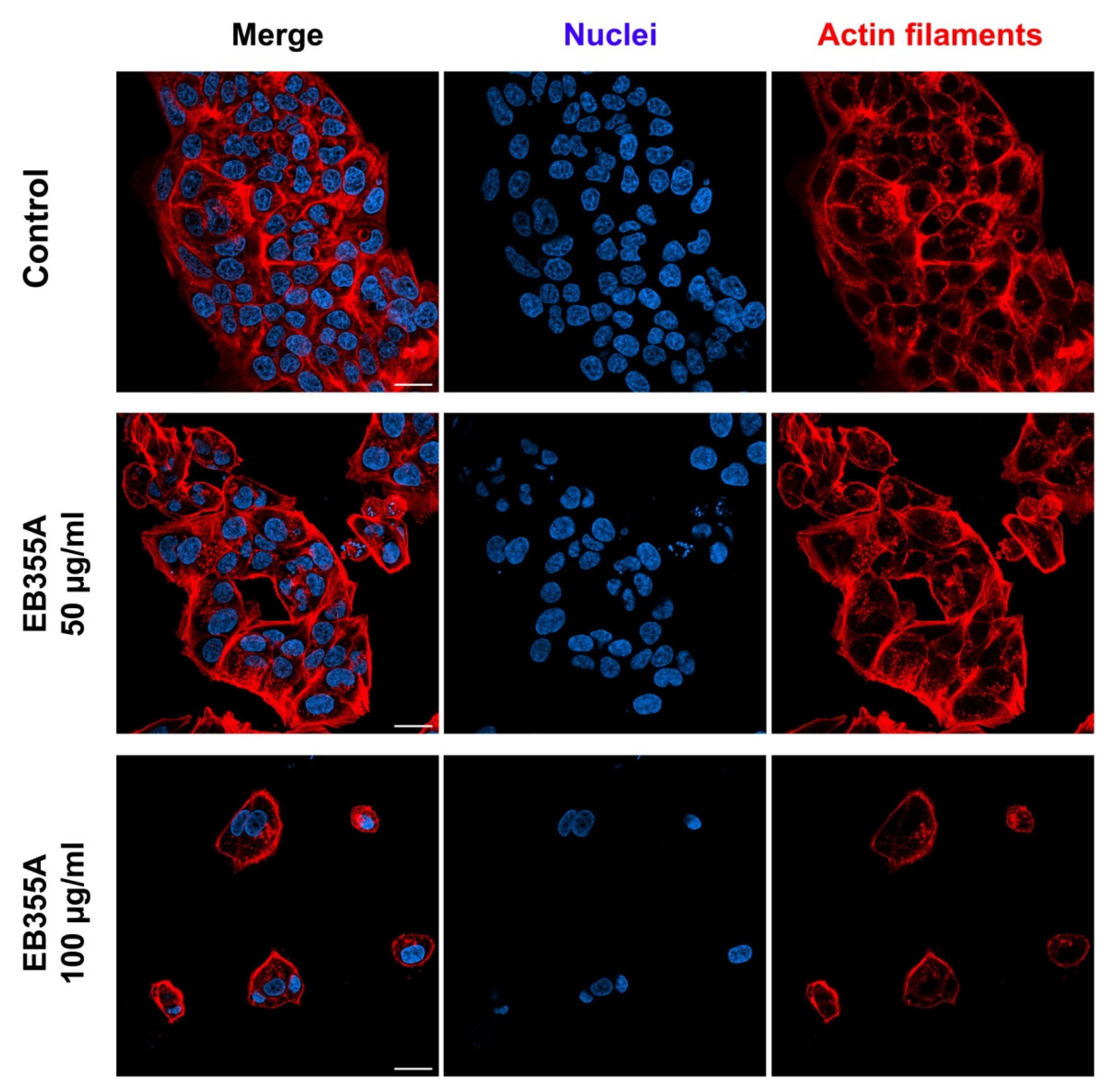 Pharmaceutics 14 02372 g005 Pharmaceutics 14 02372 g005