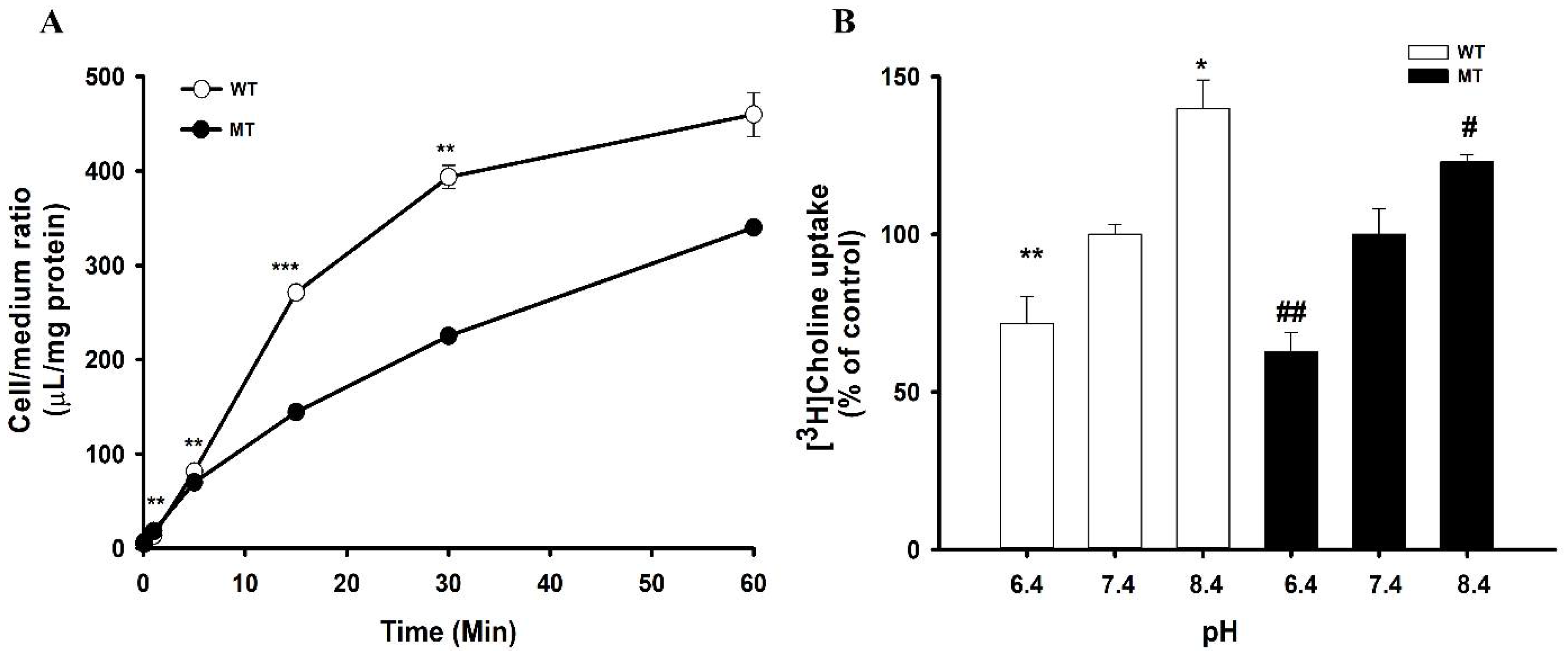 Pharmaceutics 14 02374 g001 Pharmaceutics 14 02374 g001