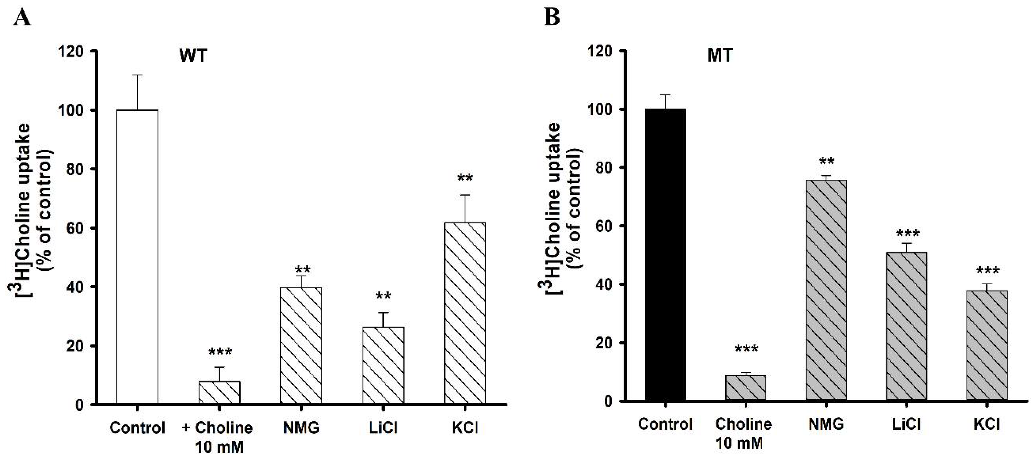 Pharmaceutics 14 02374 g002 Pharmaceutics 14 02374 g002