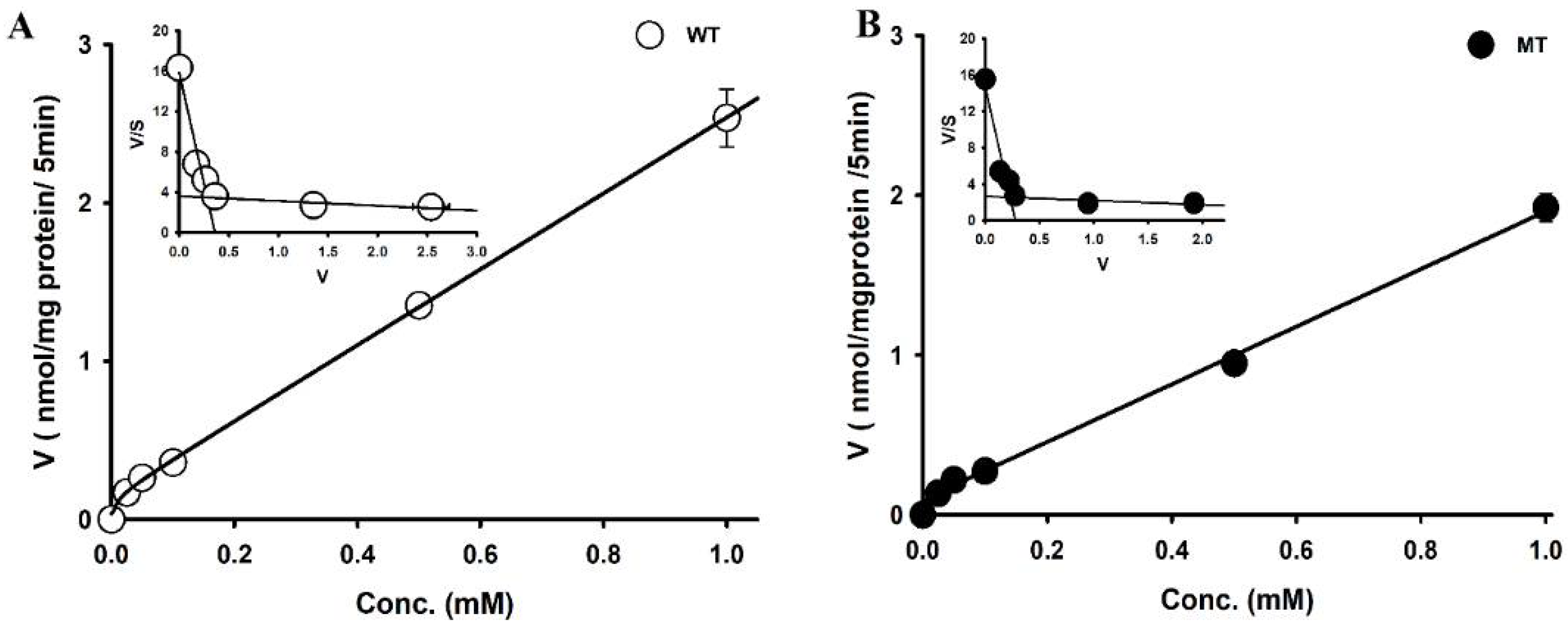 Pharmaceutics 14 02374 g003 Pharmaceutics 14 02374 g003