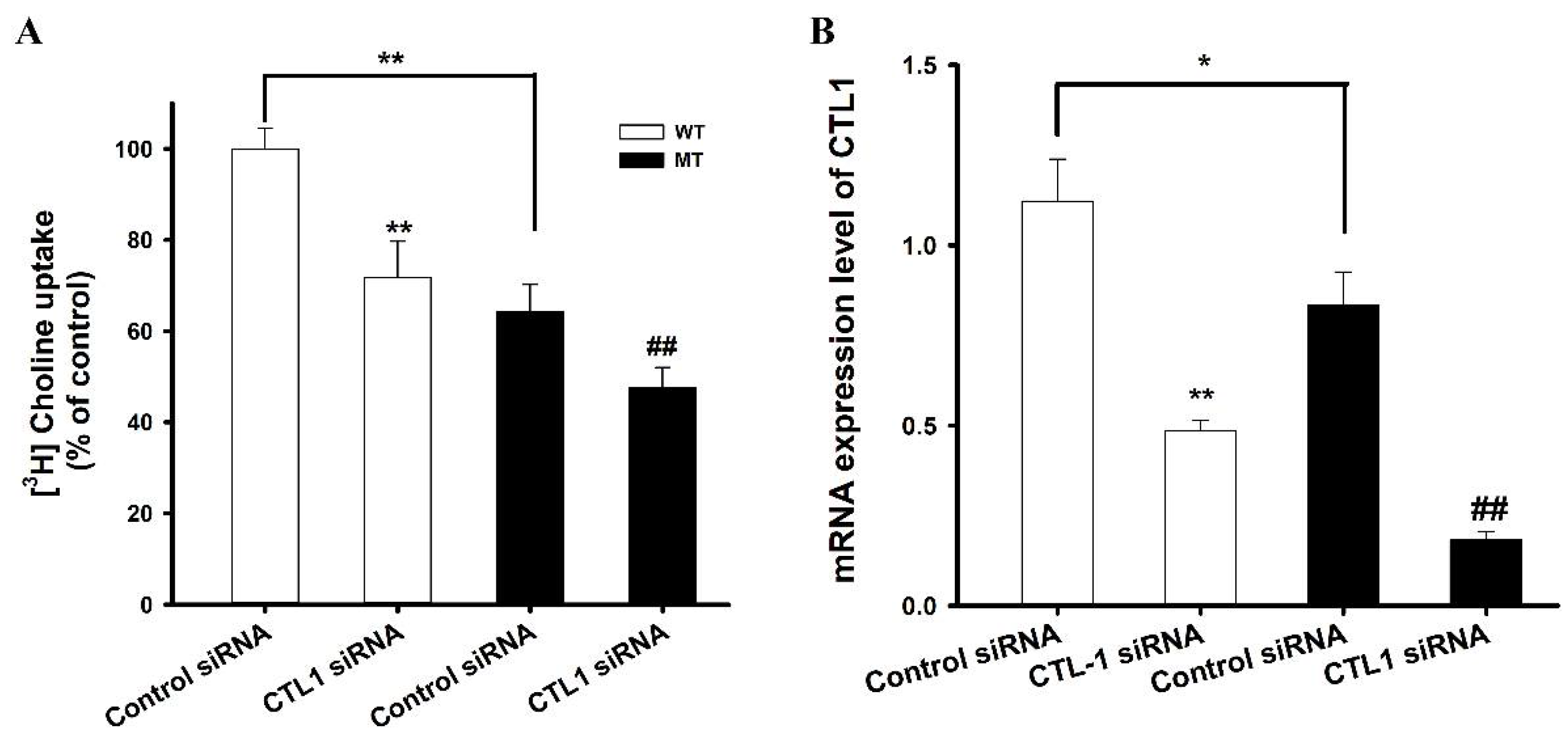 Pharmaceutics 14 02374 g004 Pharmaceutics 14 02374 g004