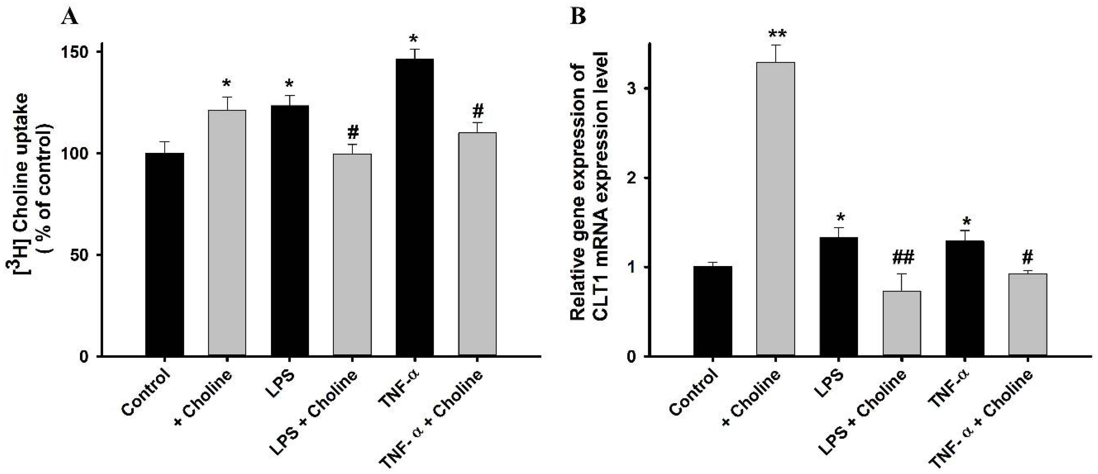 Pharmaceutics 14 02374 g008 Pharmaceutics 14 02374 g008