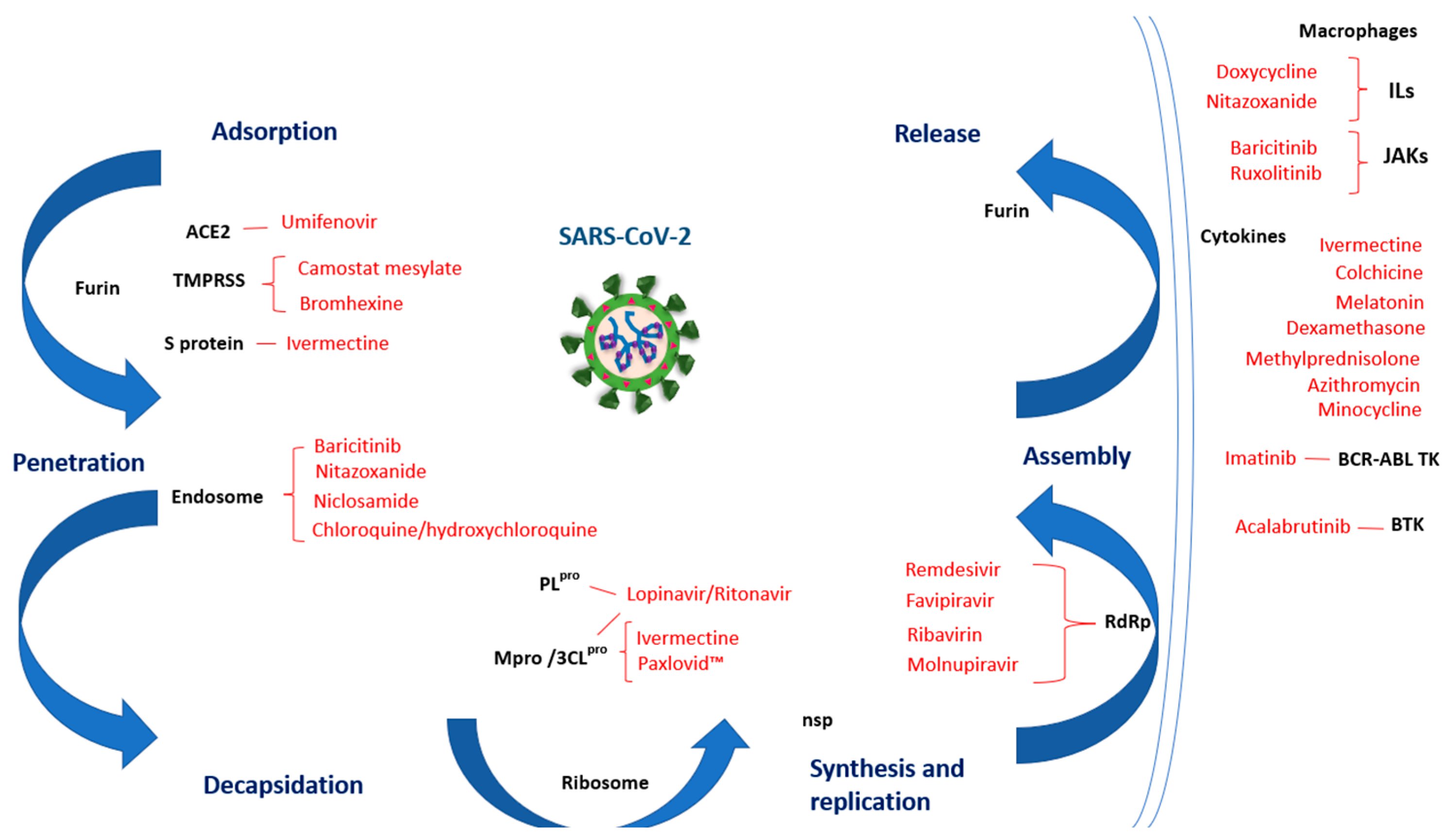 Pharmaceutics 14 02380 g002 Pharmaceutics 14 02380 g002