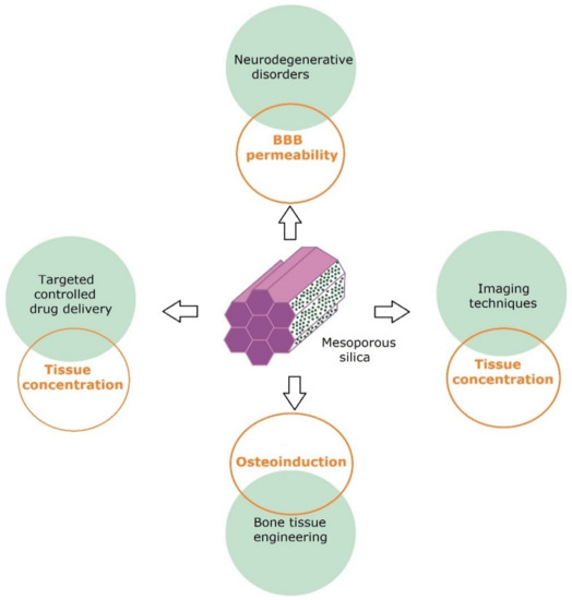 Insight into Potential Biomedical Application of Mesoporous Materials