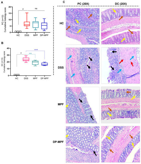 みさ Genetic structure of Spirometra mansoni (Cestoda