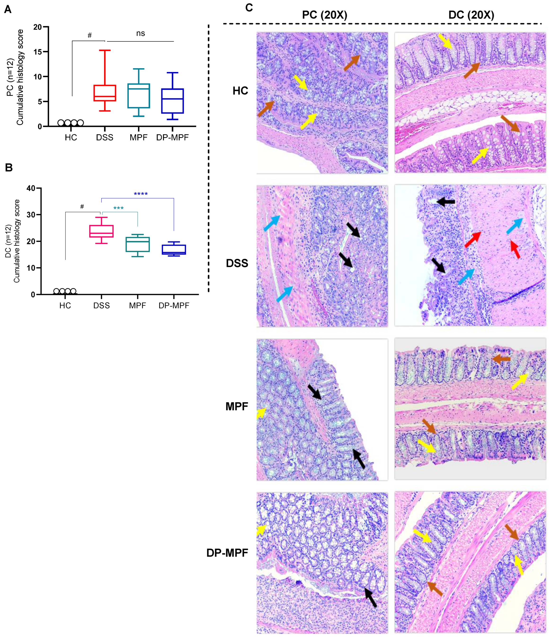 Pharmaceutics 14 02383 g003