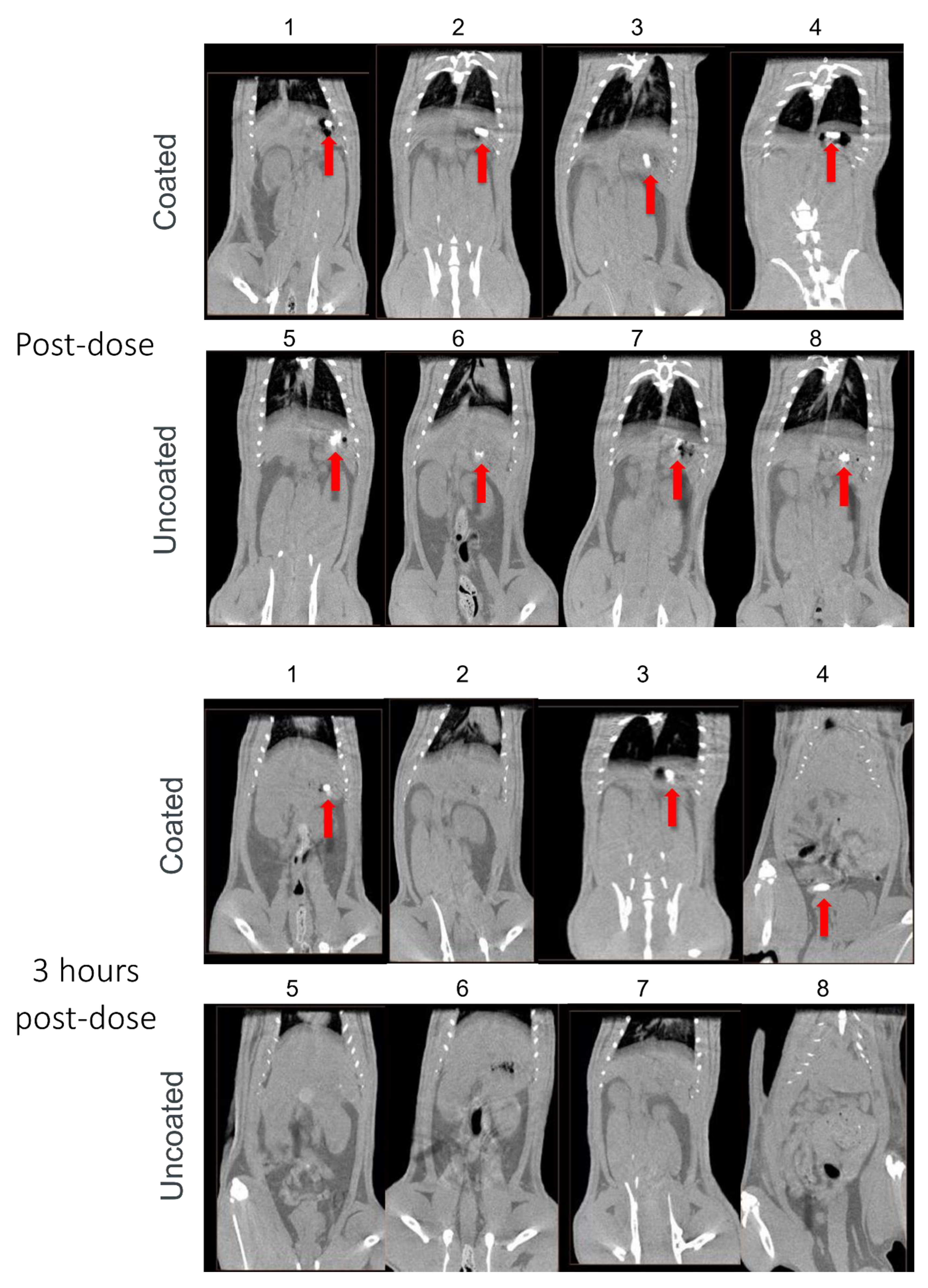 Pharmaceutics 14 02385 g002a