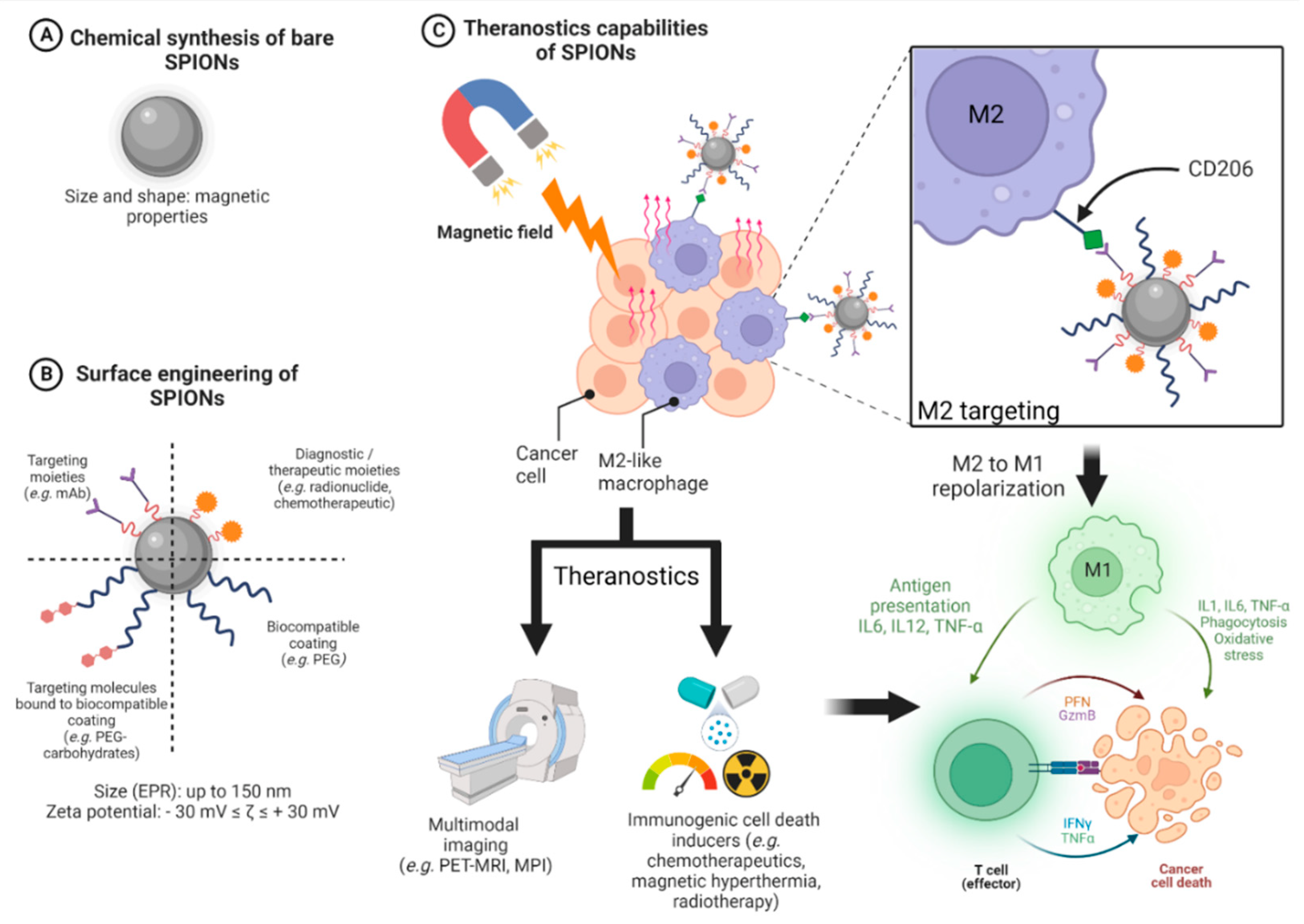 Pharmaceutics 14 02388 g002