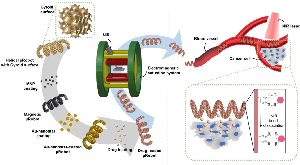 Pharmaceutics 14 02393 g001 Pharmaceutics 14 02393 g001