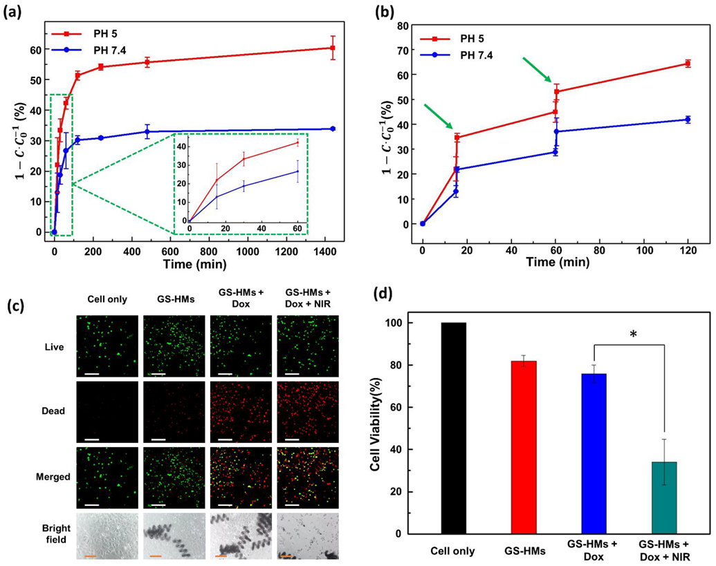 Pharmaceutics 14 02393 g004 Pharmaceutics 14 02393 g004