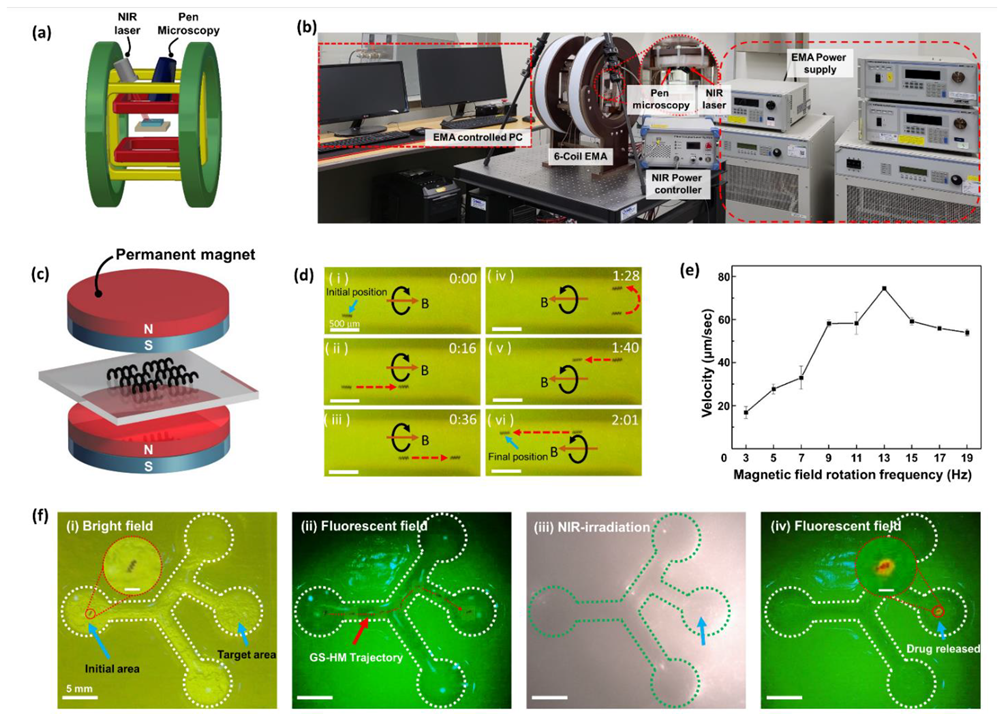 Pharmaceutics 14 02393 g005 Pharmaceutics 14 02393 g005