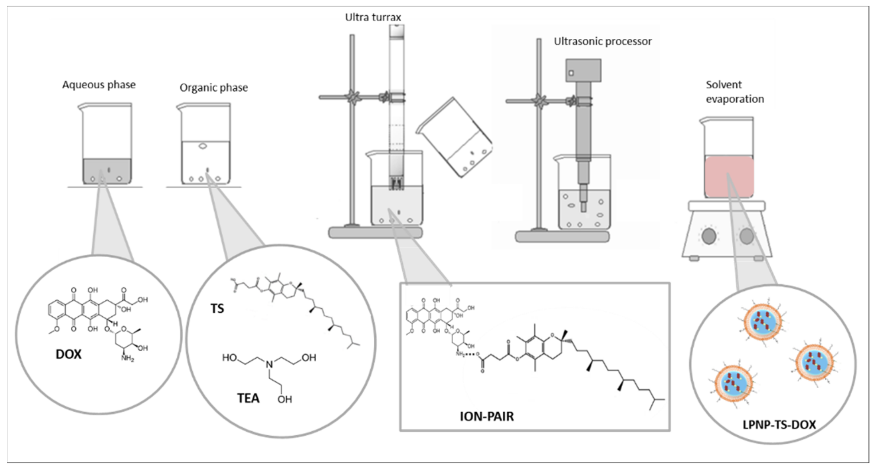 Pharmaceutics 14 02394 g001
