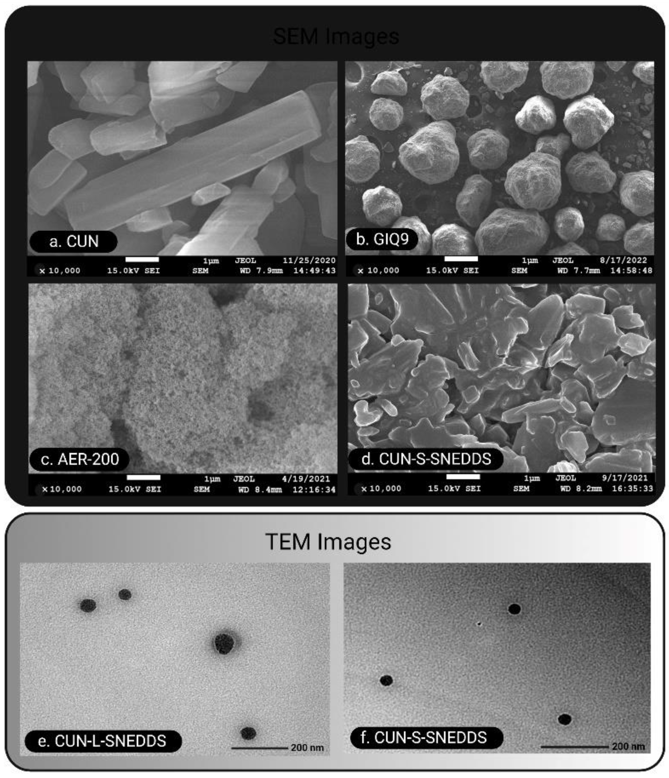 Pharmaceutics 14 02395 g005