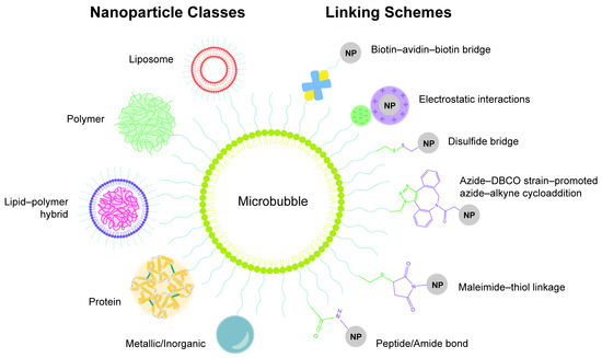 Microbubble–Nanoparticle Complexes for Ultrasound-Enhanced