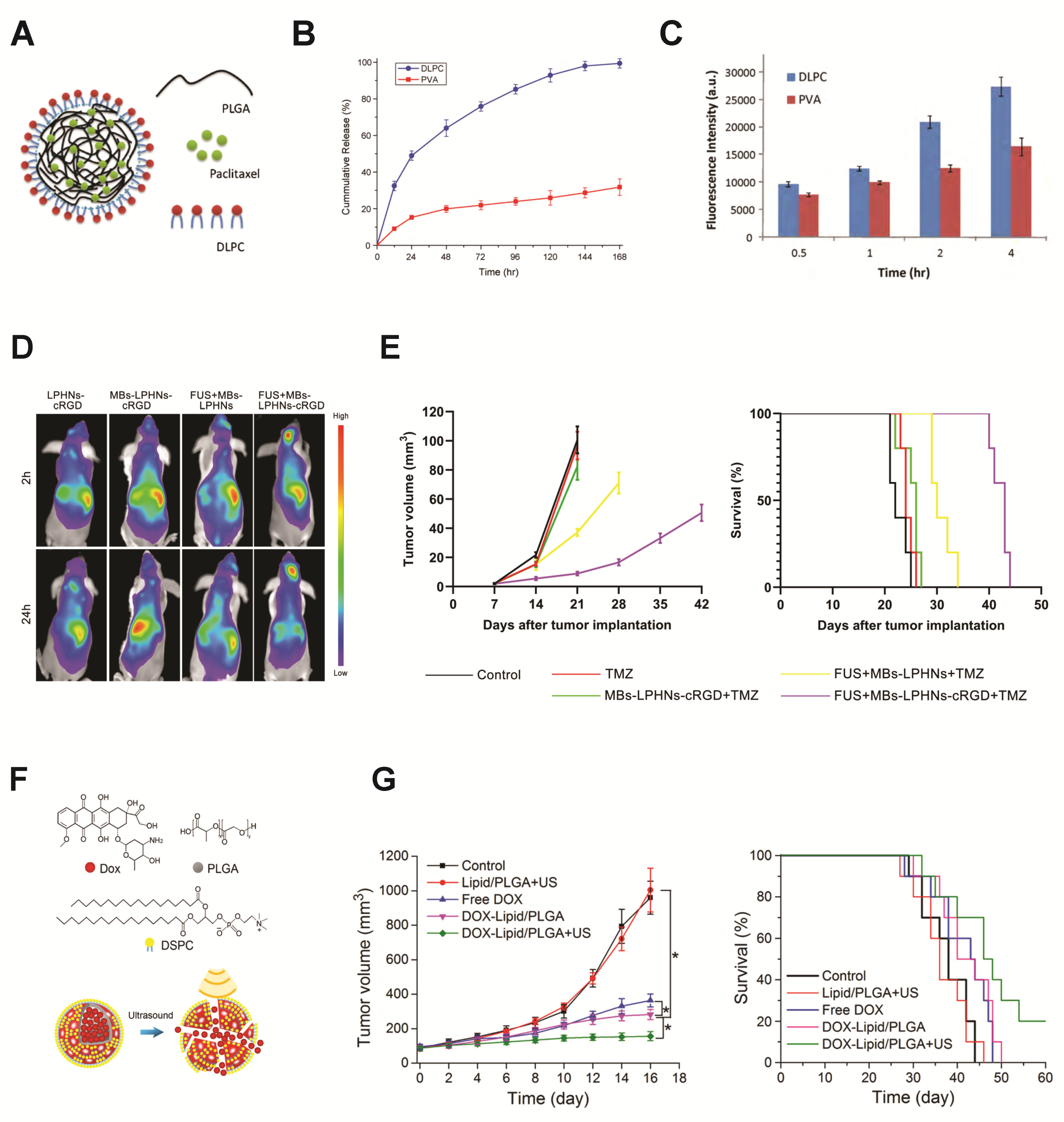 Pharmaceutics 14 02396 g004