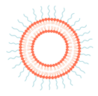 Pharmaceutics 14 02396 i001