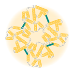 Pharmaceutics 14 02396 i004