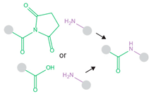 Pharmaceutics 14 02396 i011