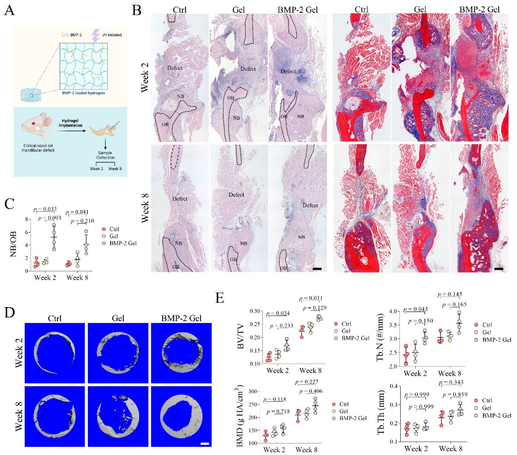 Pharmaceutics 14 02397 g002