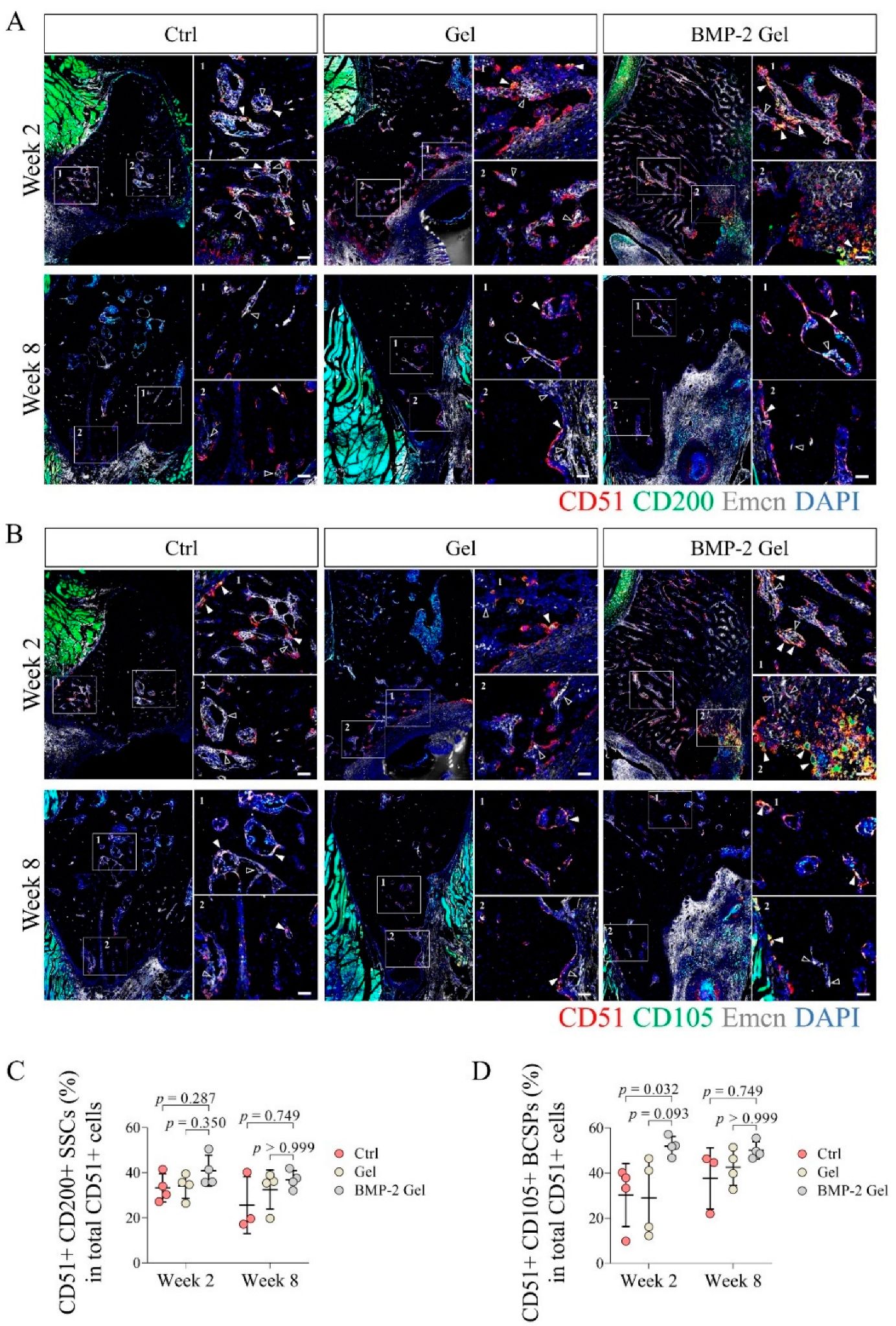 Pharmaceutics 14 02397 g006