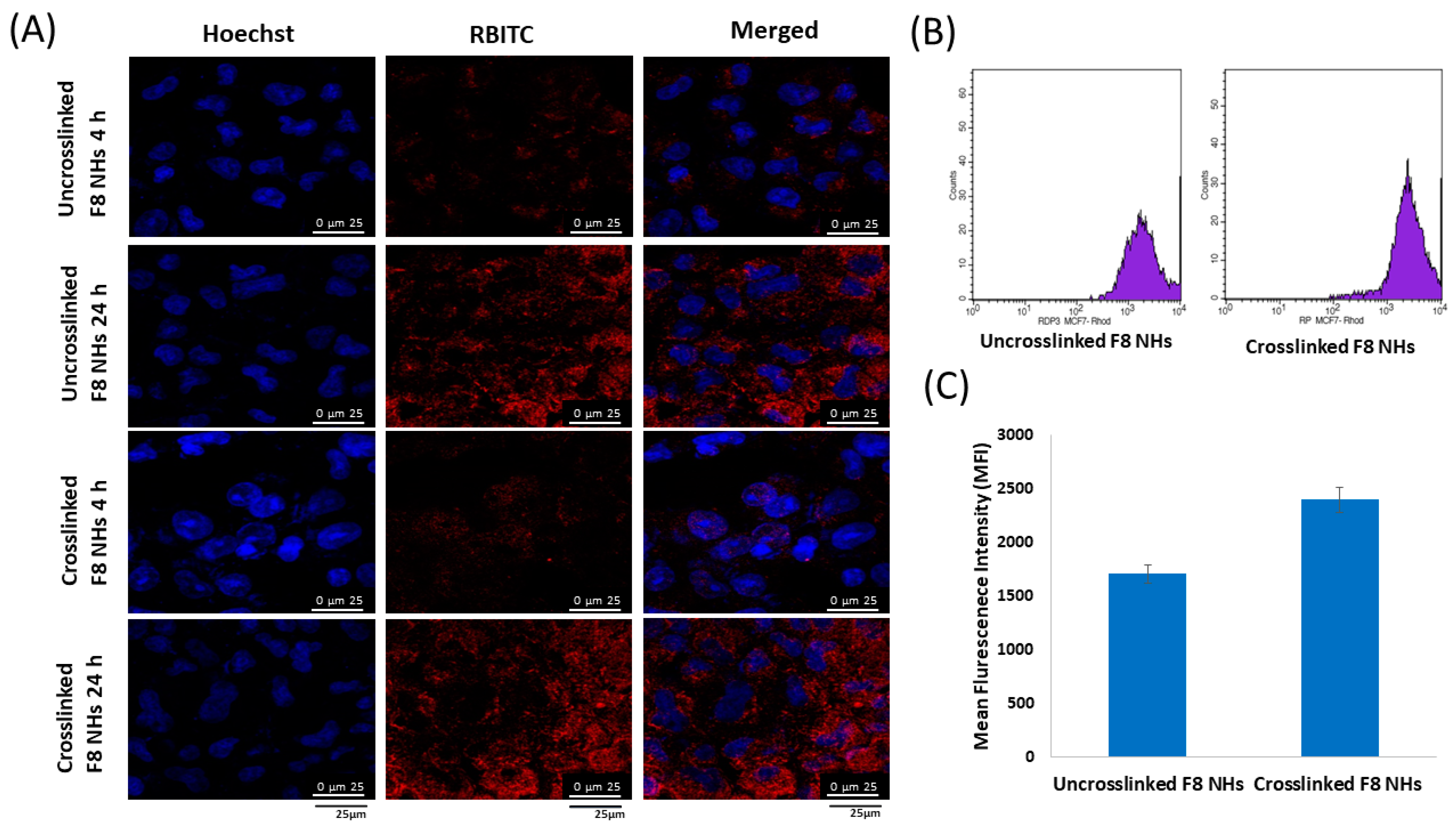 Pharmaceutics 14 02404 g007 Pharmaceutics 14 02404 g007