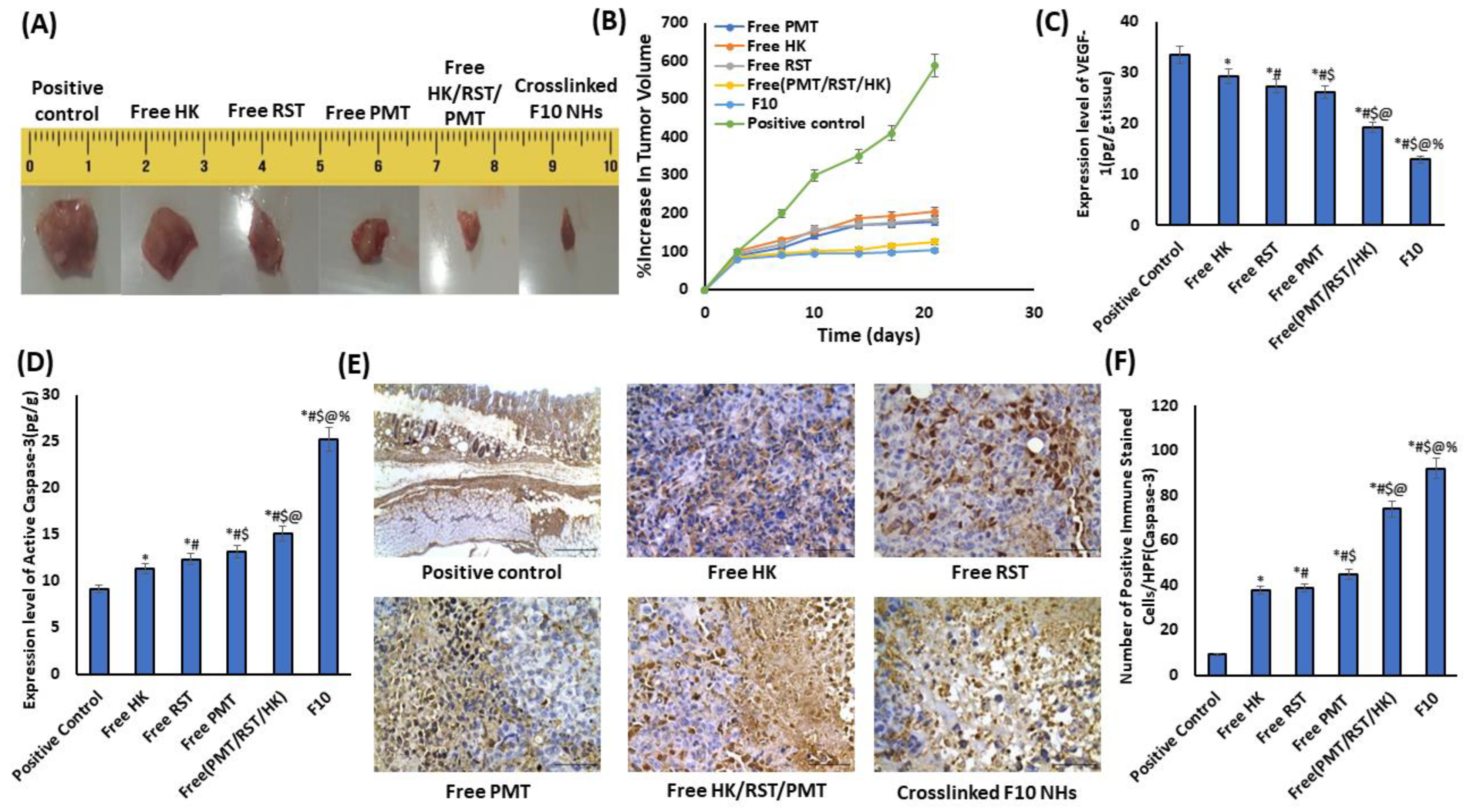 Pharmaceutics 14 02404 g008 Pharmaceutics 14 02404 g008