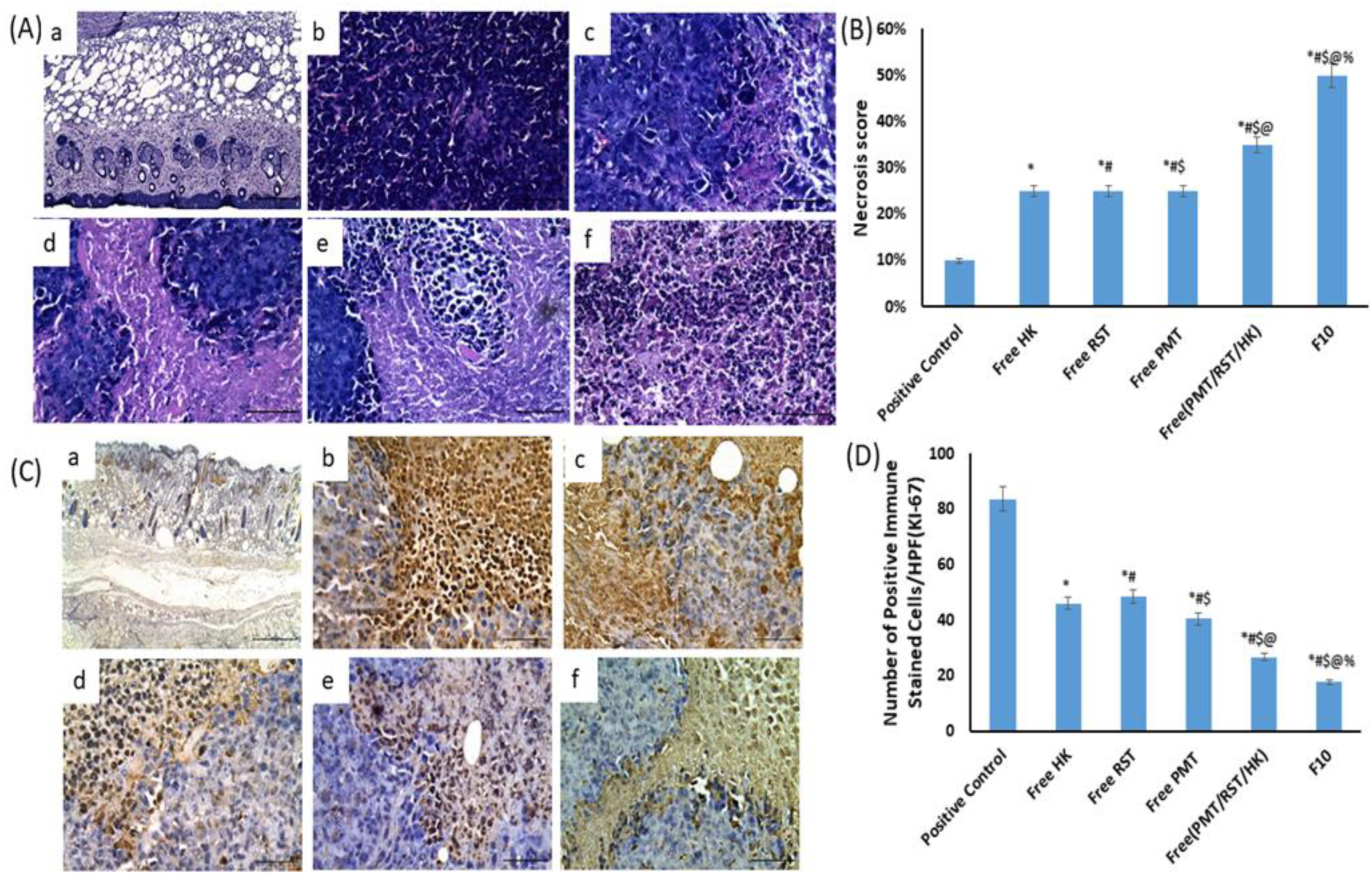 Pharmaceutics 14 02404 g009 Pharmaceutics 14 02404 g009