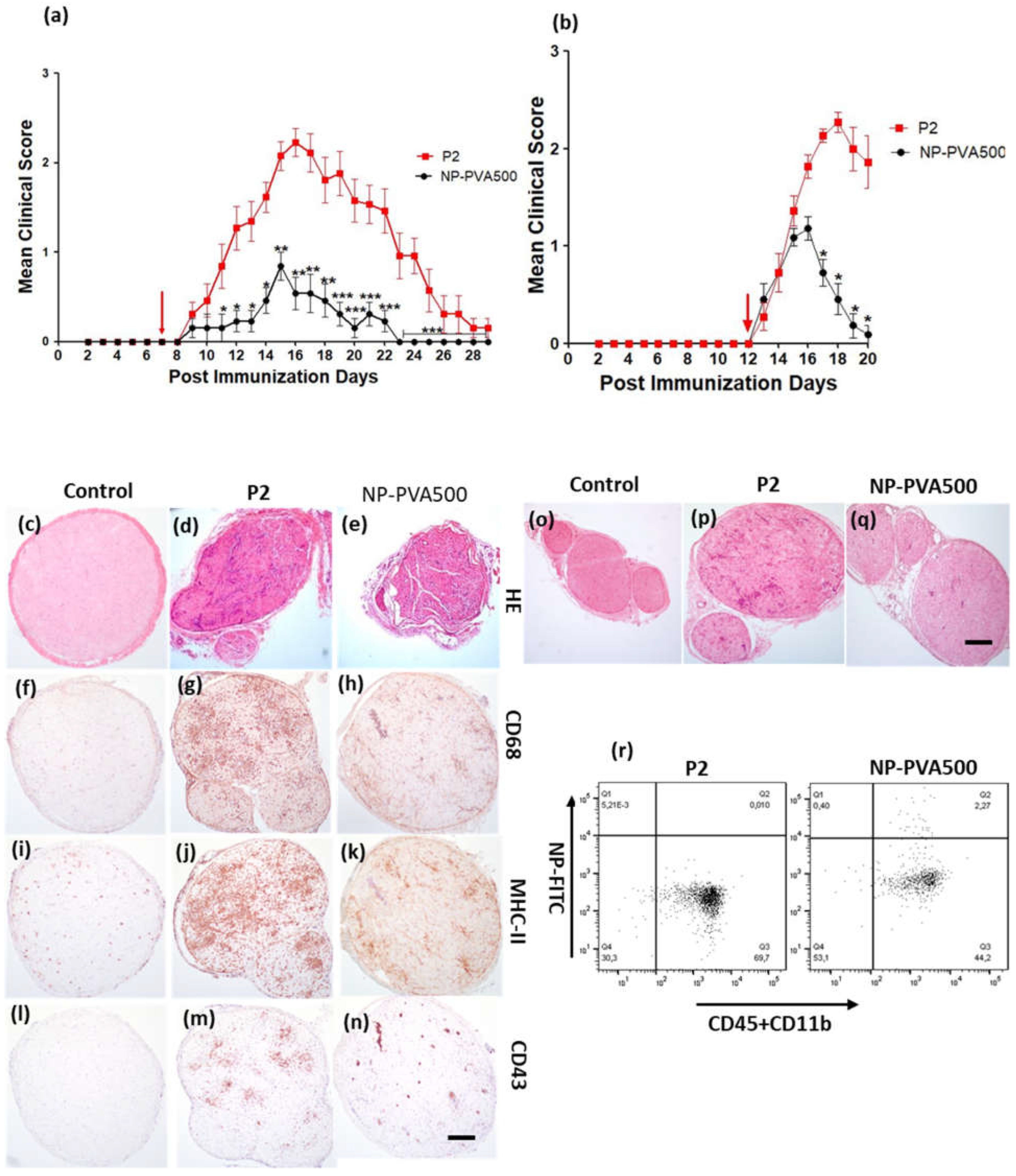 Pharmaceutics 14 02410 g001