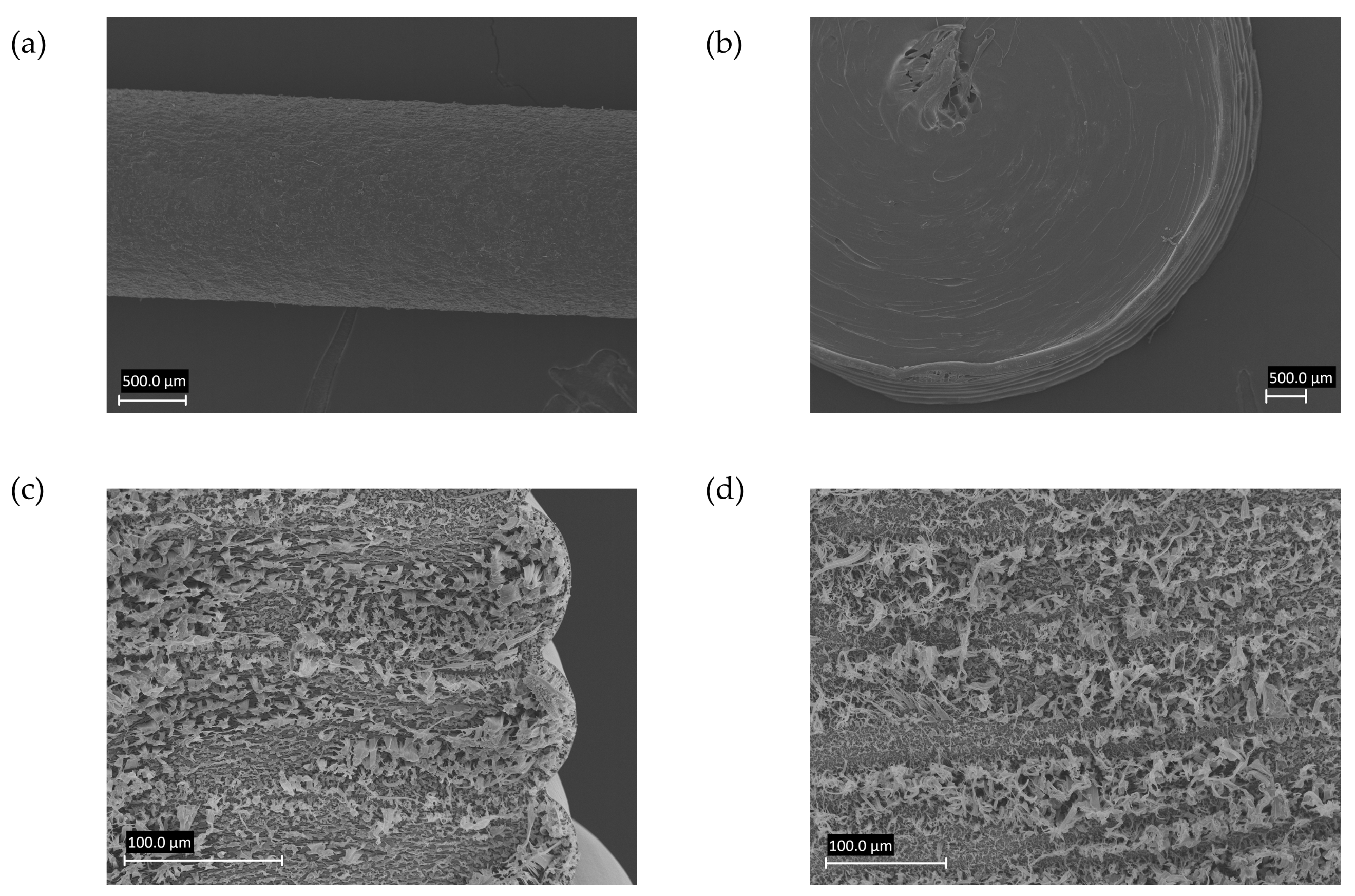 Pharmaceutics 14 02411 g002 Pharmaceutics 14 02411 g002