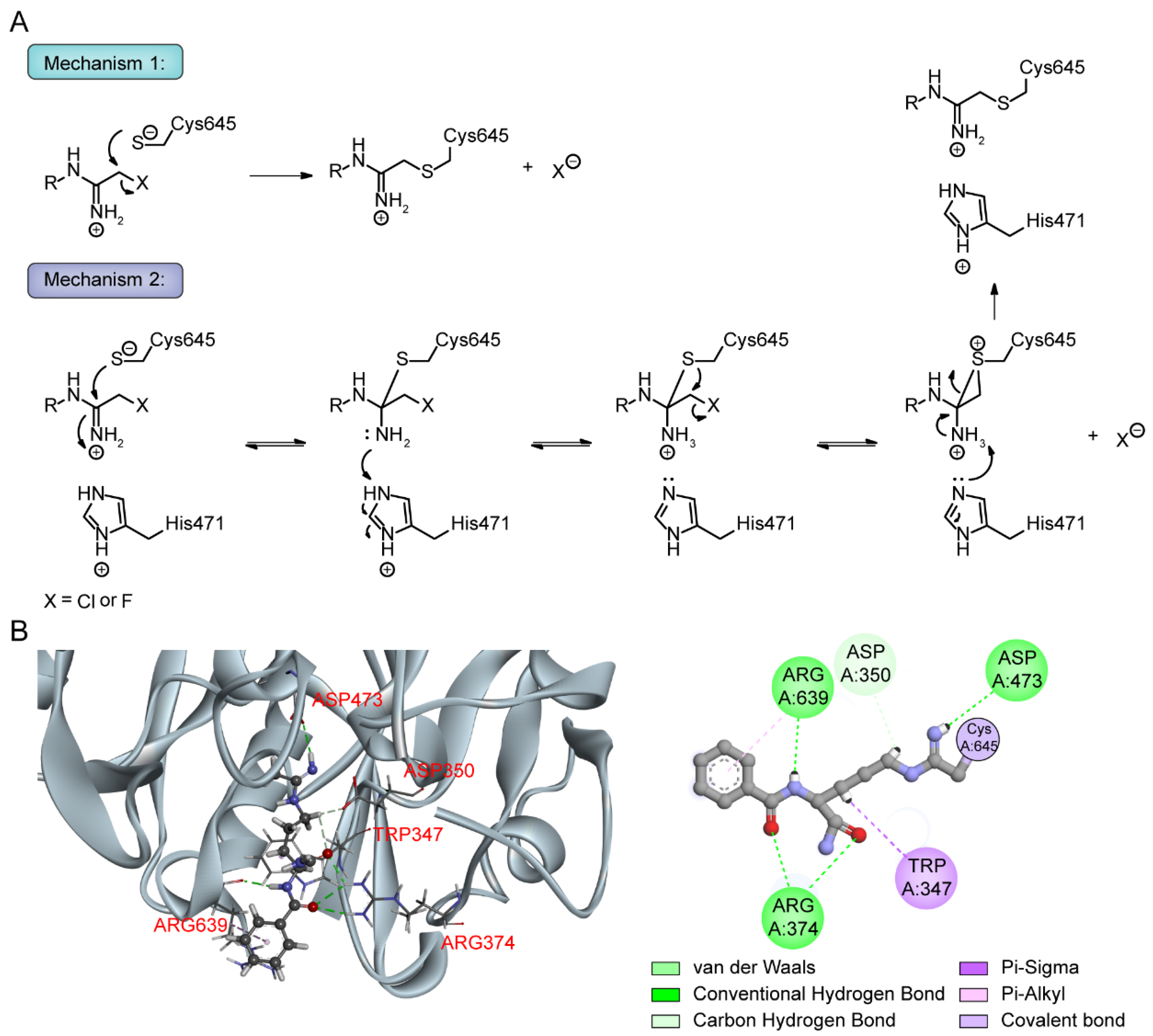 Pharmaceutics 14 02414 g007