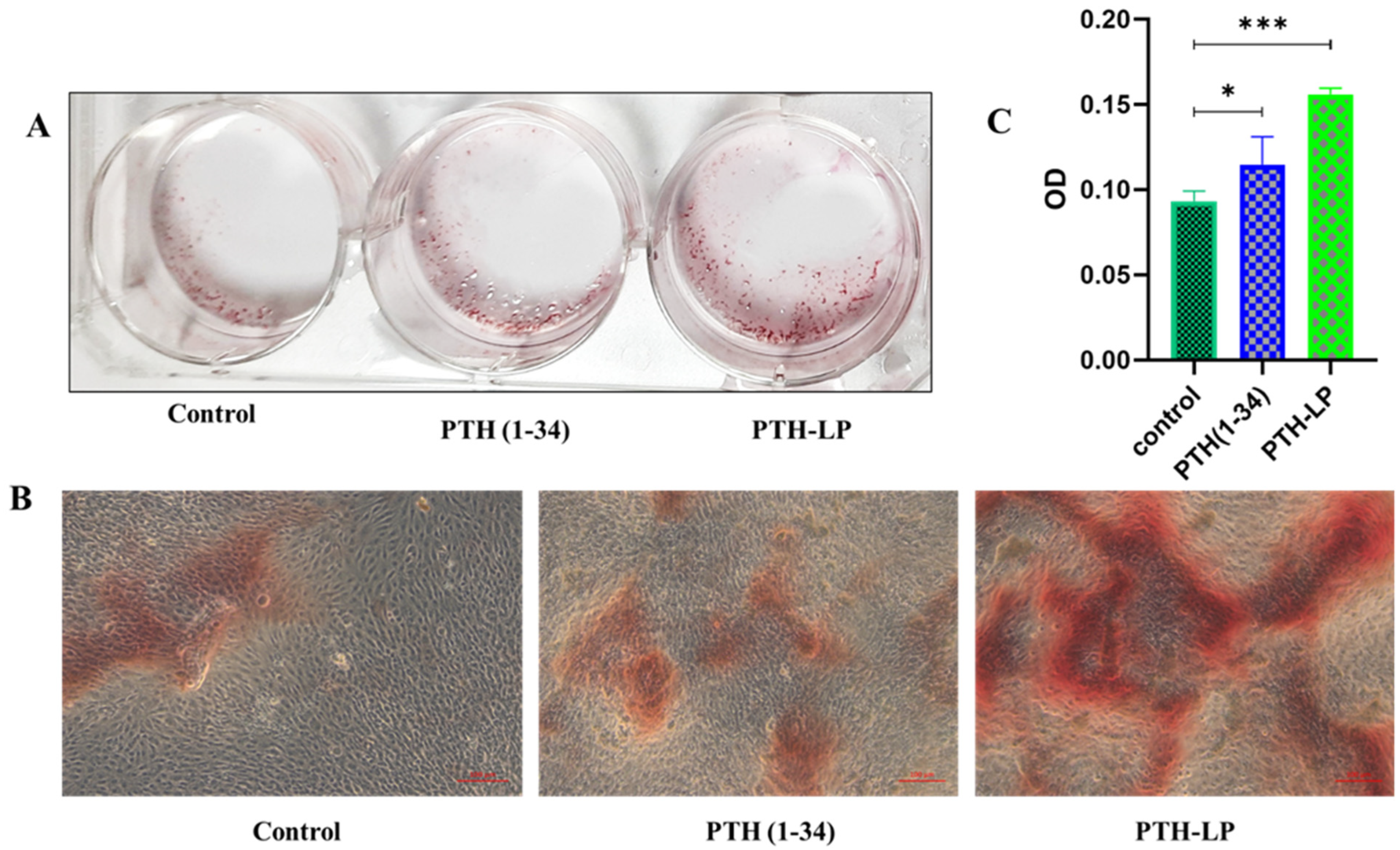 Pharmaceutics 14 02417 g009 Pharmaceutics 14 02417 g009