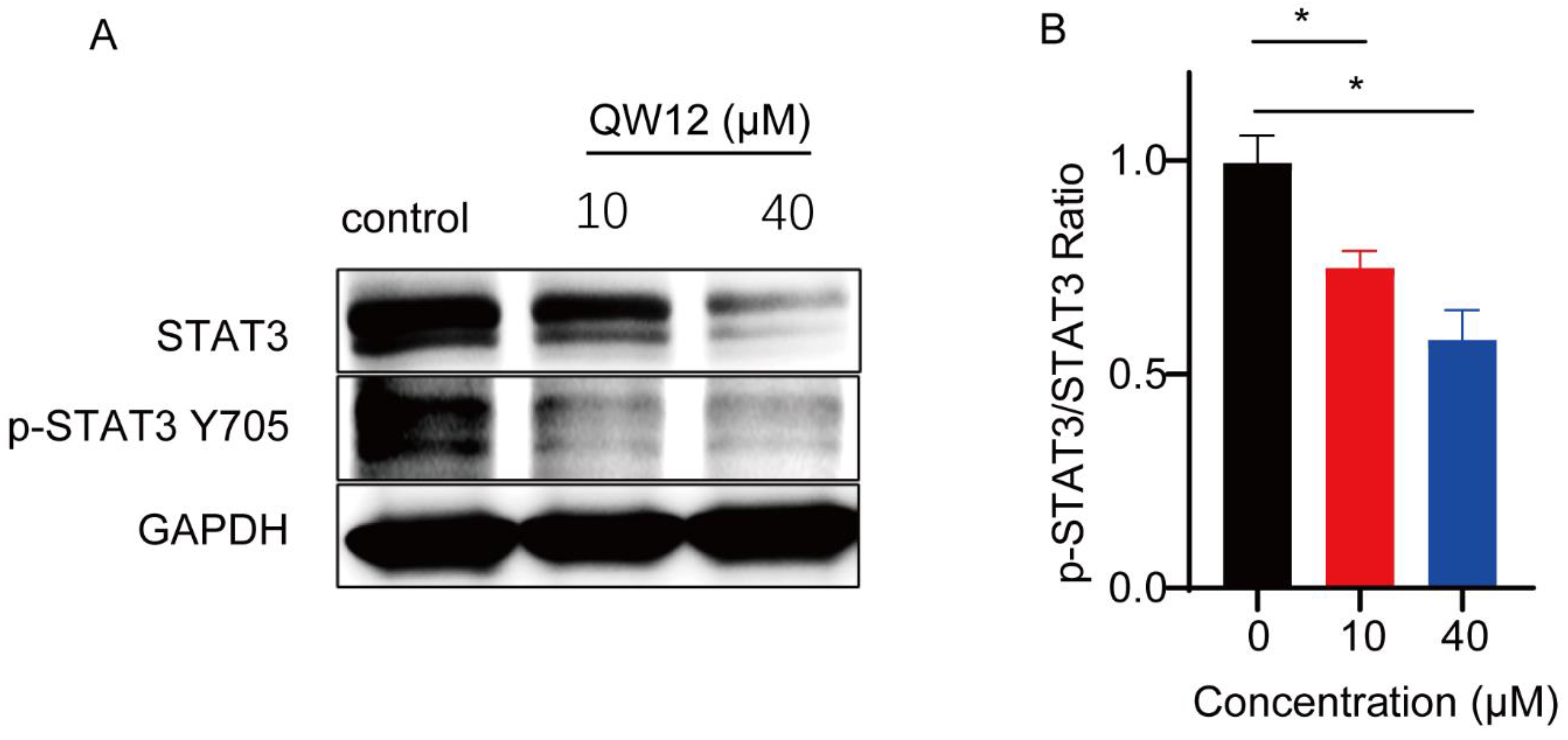 Pharmaceutics 14 02420 g008