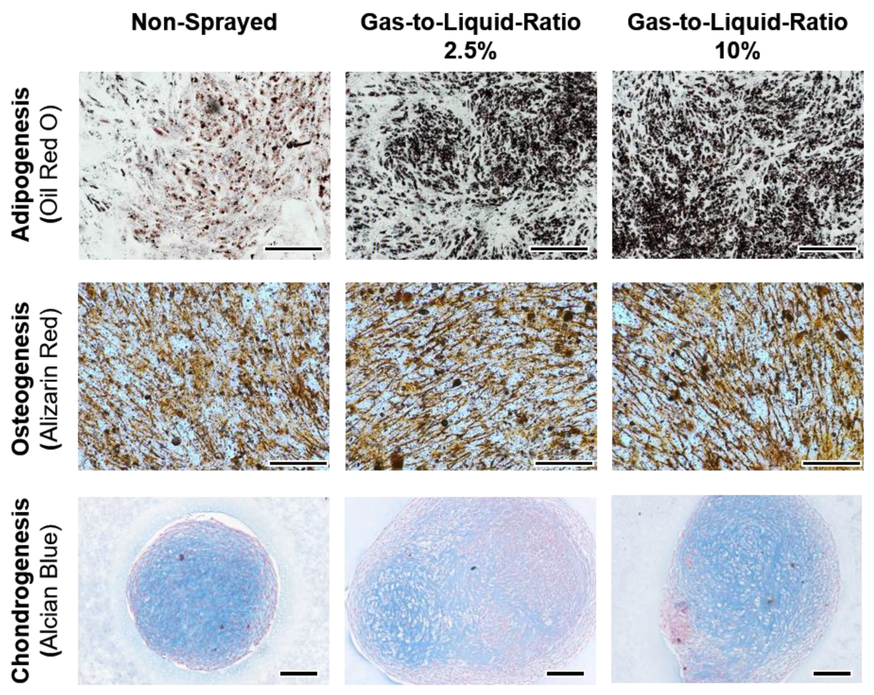 Pharmaceutics 14 02421 g009