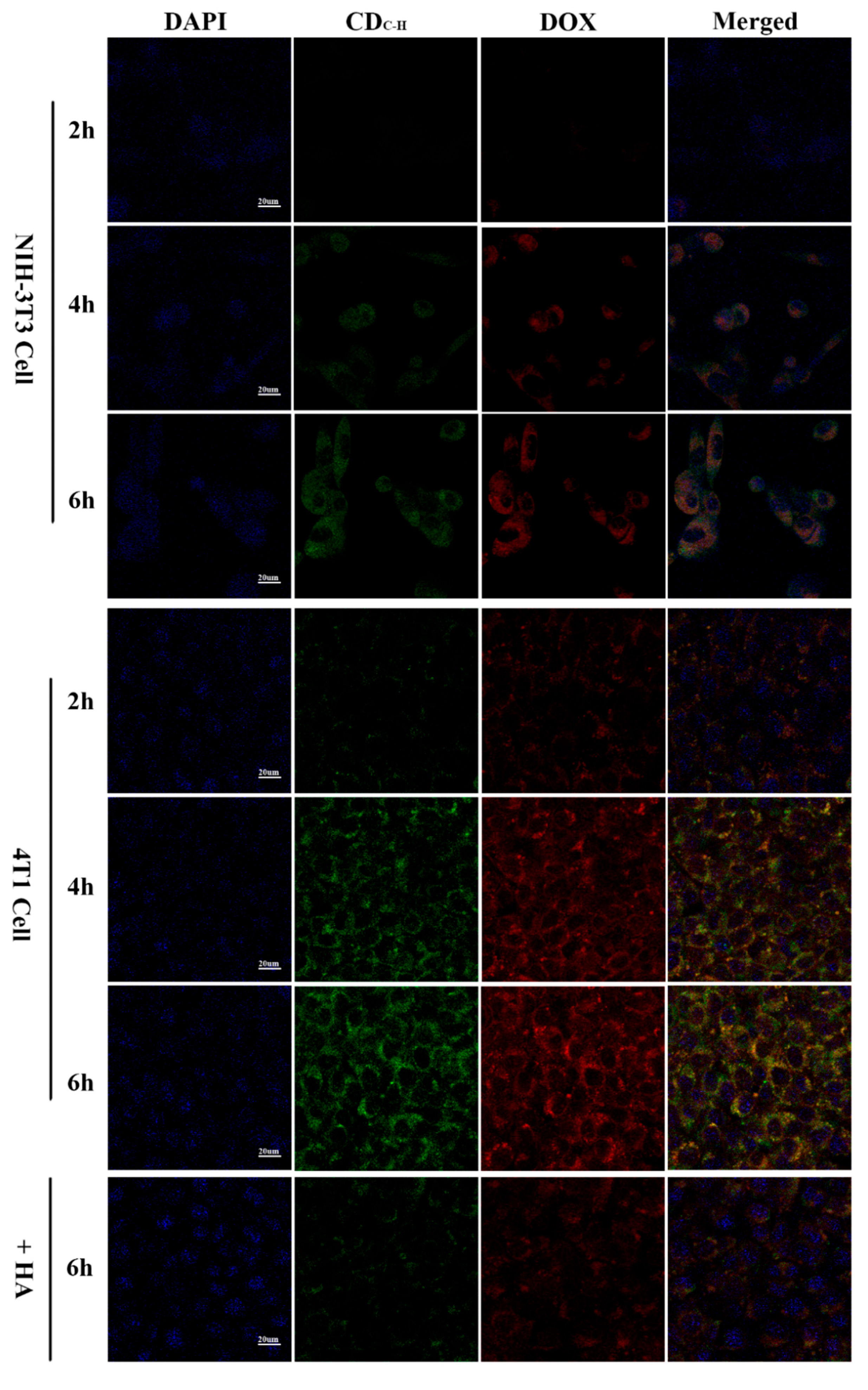 Pharmaceutics 14 02423 g007 Pharmaceutics 14 02423 g007