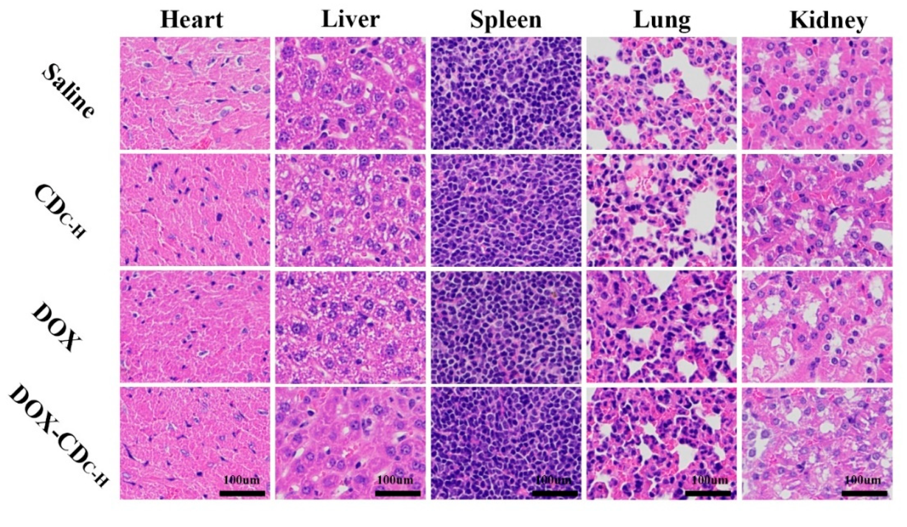 Pharmaceutics 14 02423 g010 Pharmaceutics 14 02423 g010
