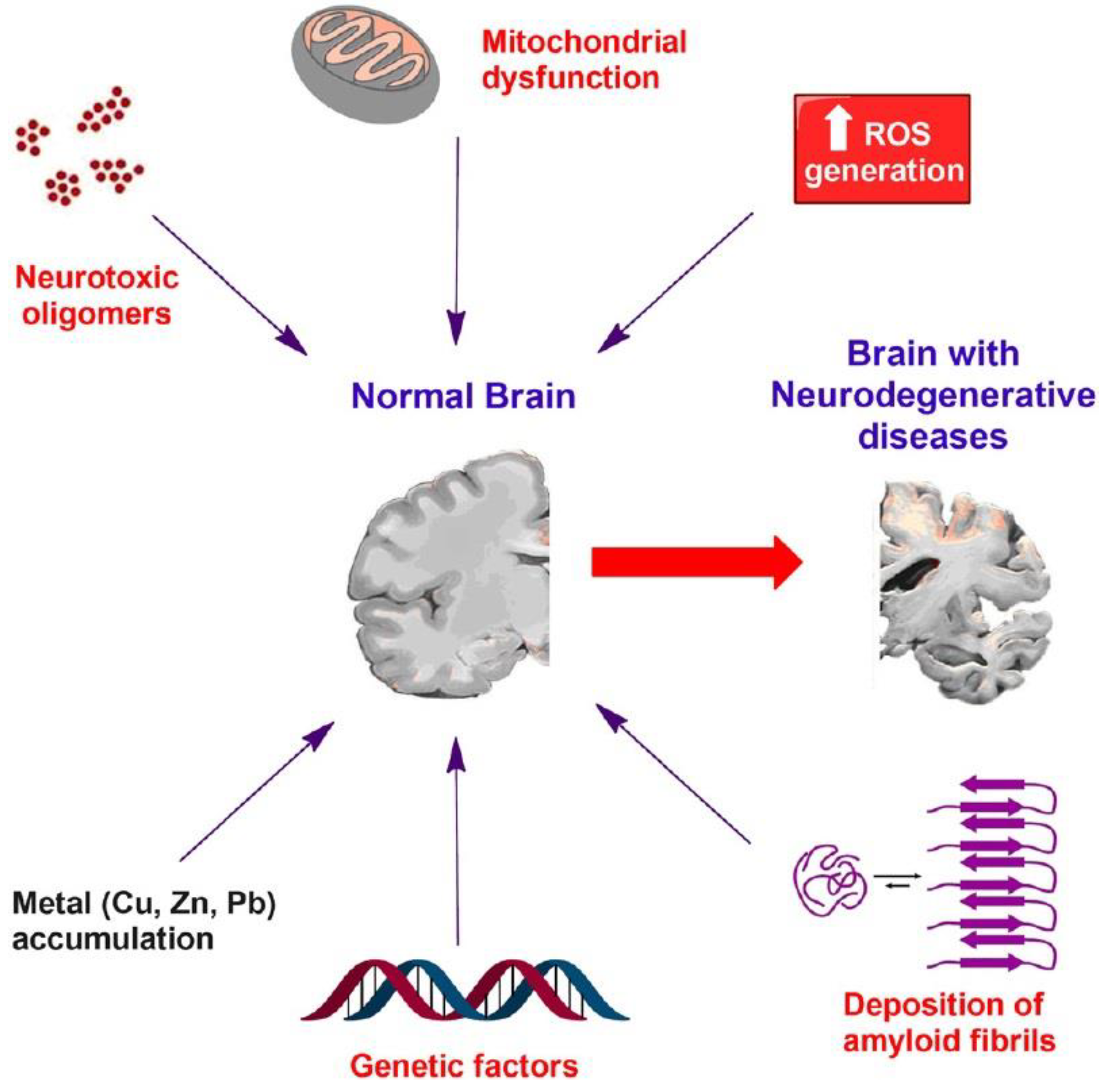 Pharmaceutics 14 02425 g001 Pharmaceutics 14 02425 g001