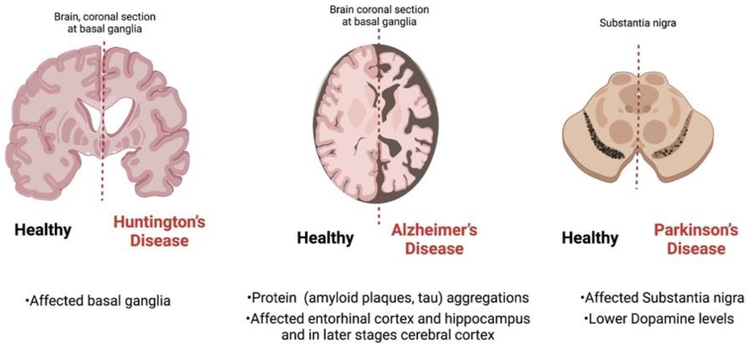 Pharmaceutics 14 02425 g003 Pharmaceutics 14 02425 g003