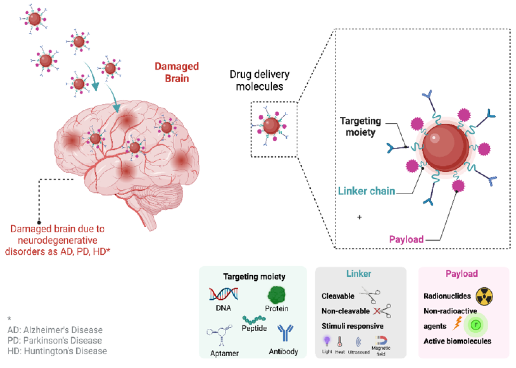 Pharmaceutics 14 02425 g004 Pharmaceutics 14 02425 g004