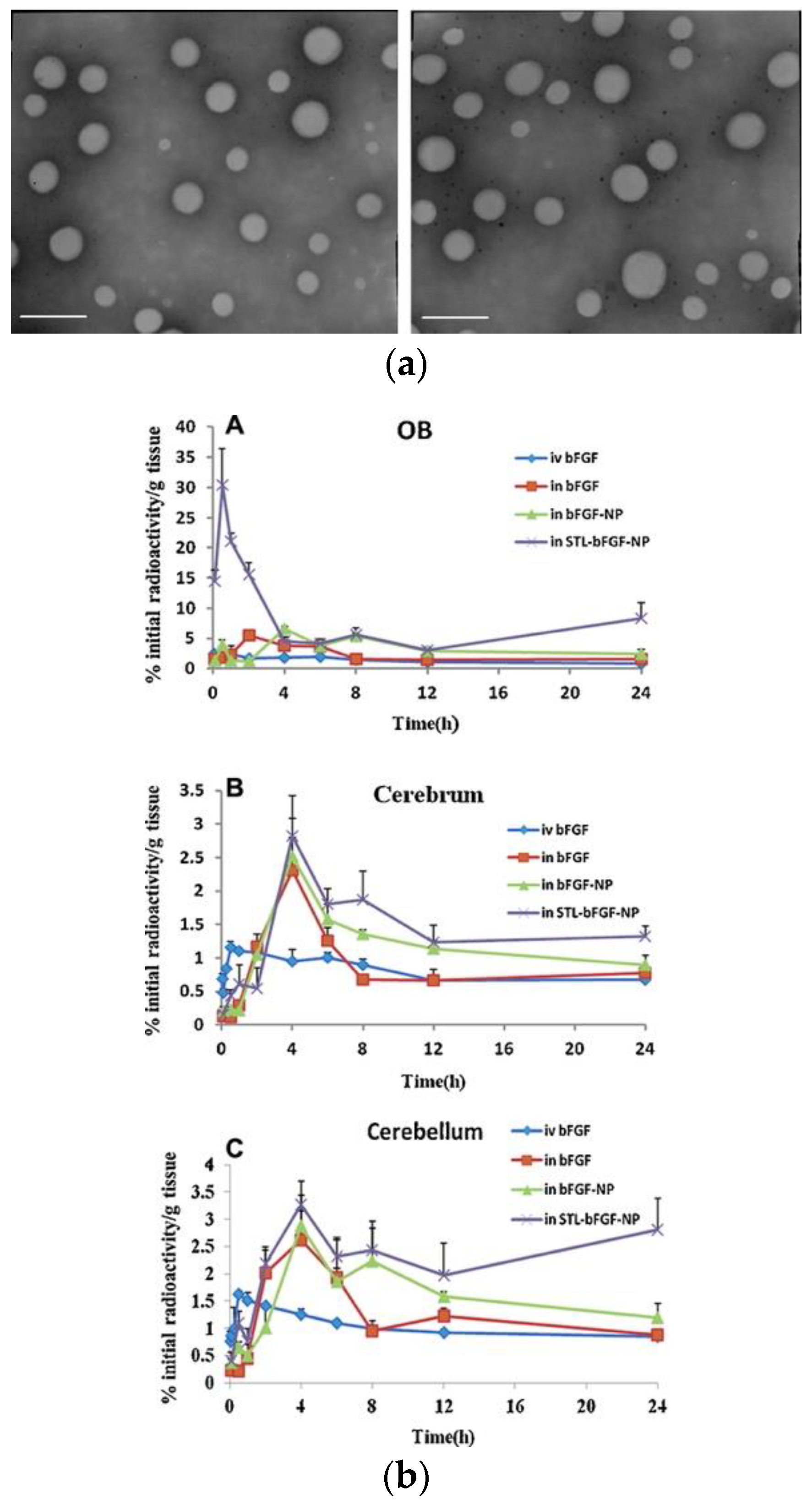 Pharmaceutics 14 02425 g005 Pharmaceutics 14 02425 g005